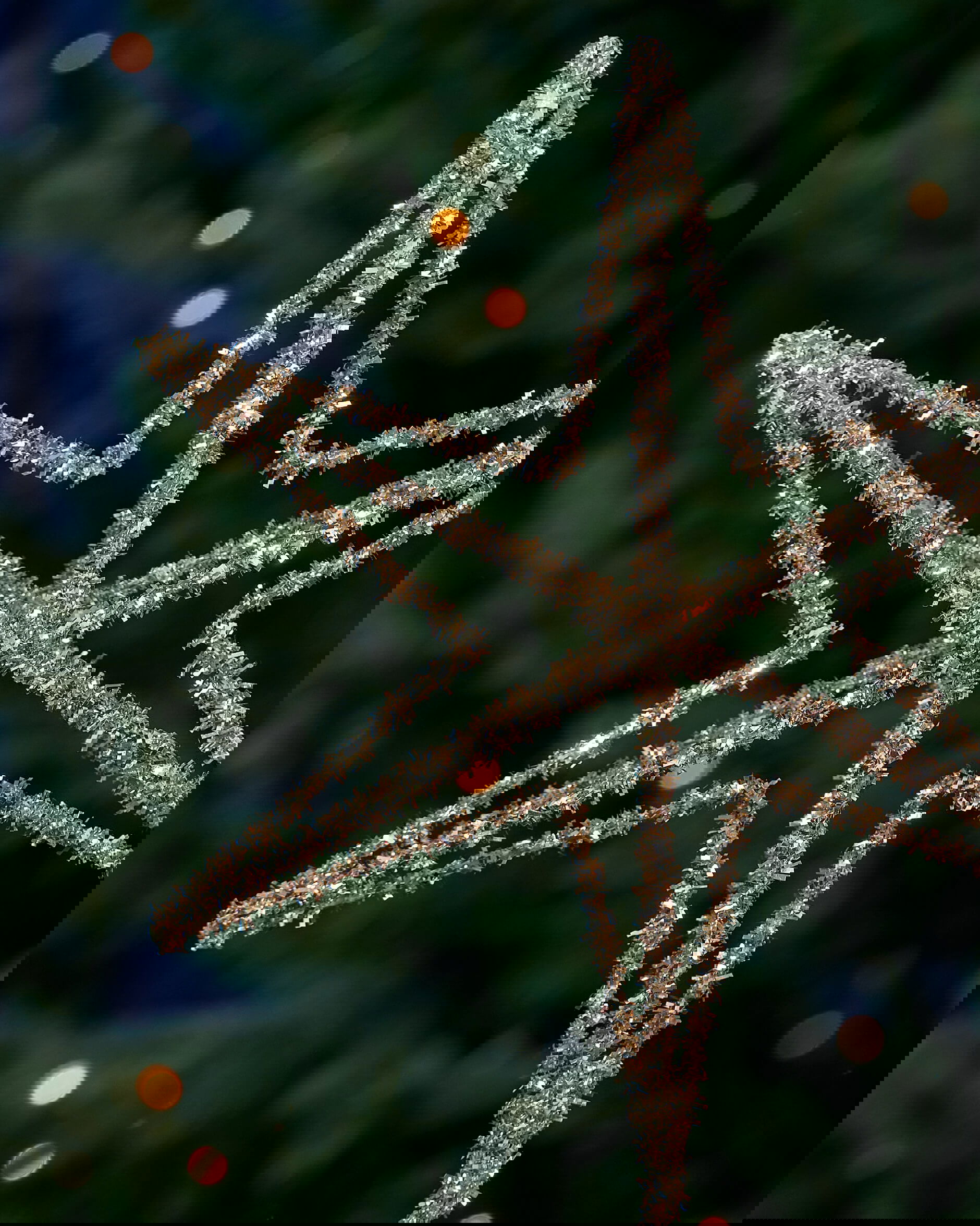 Nanette toppstjärna guld