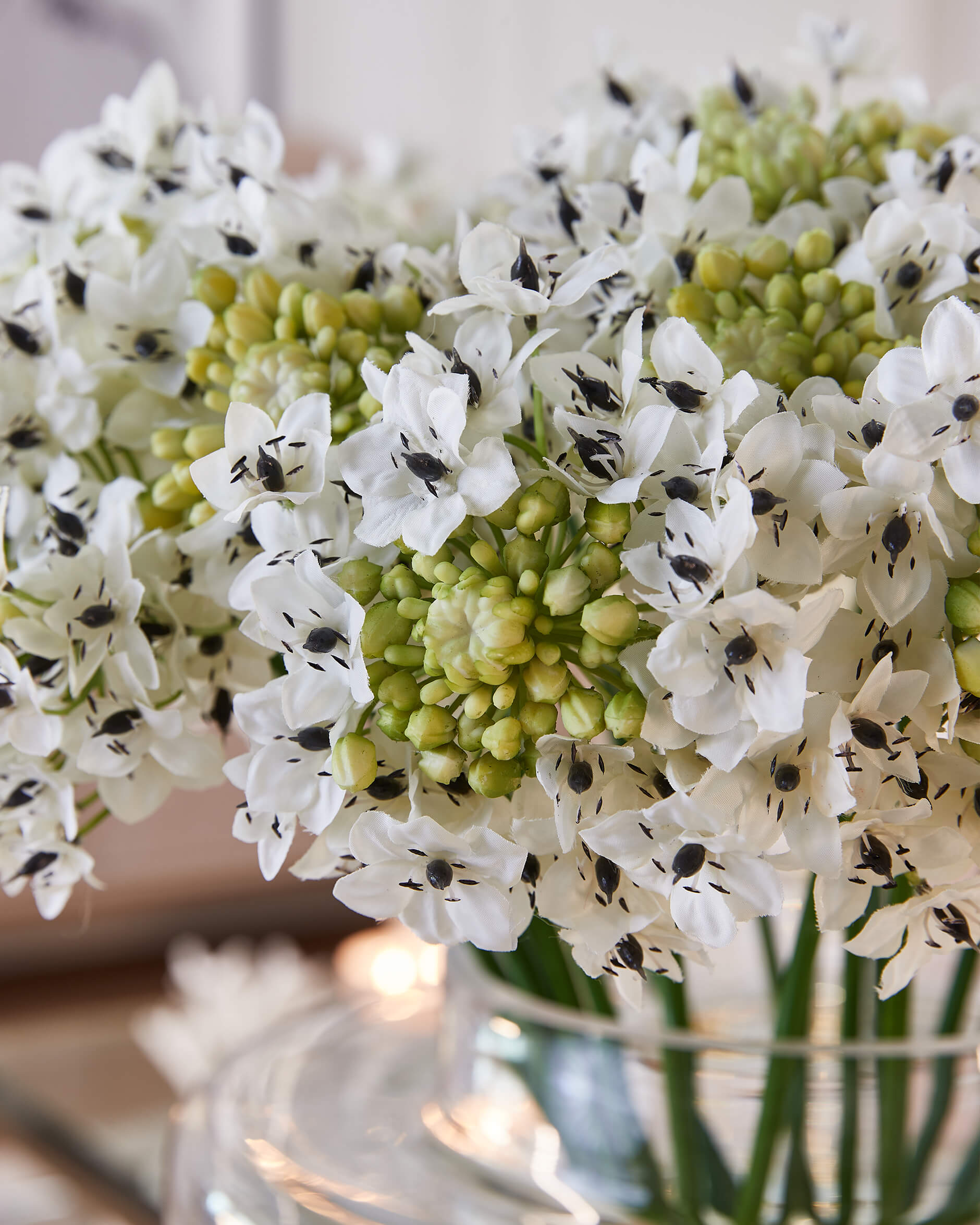 Arabicum snittblomma vit