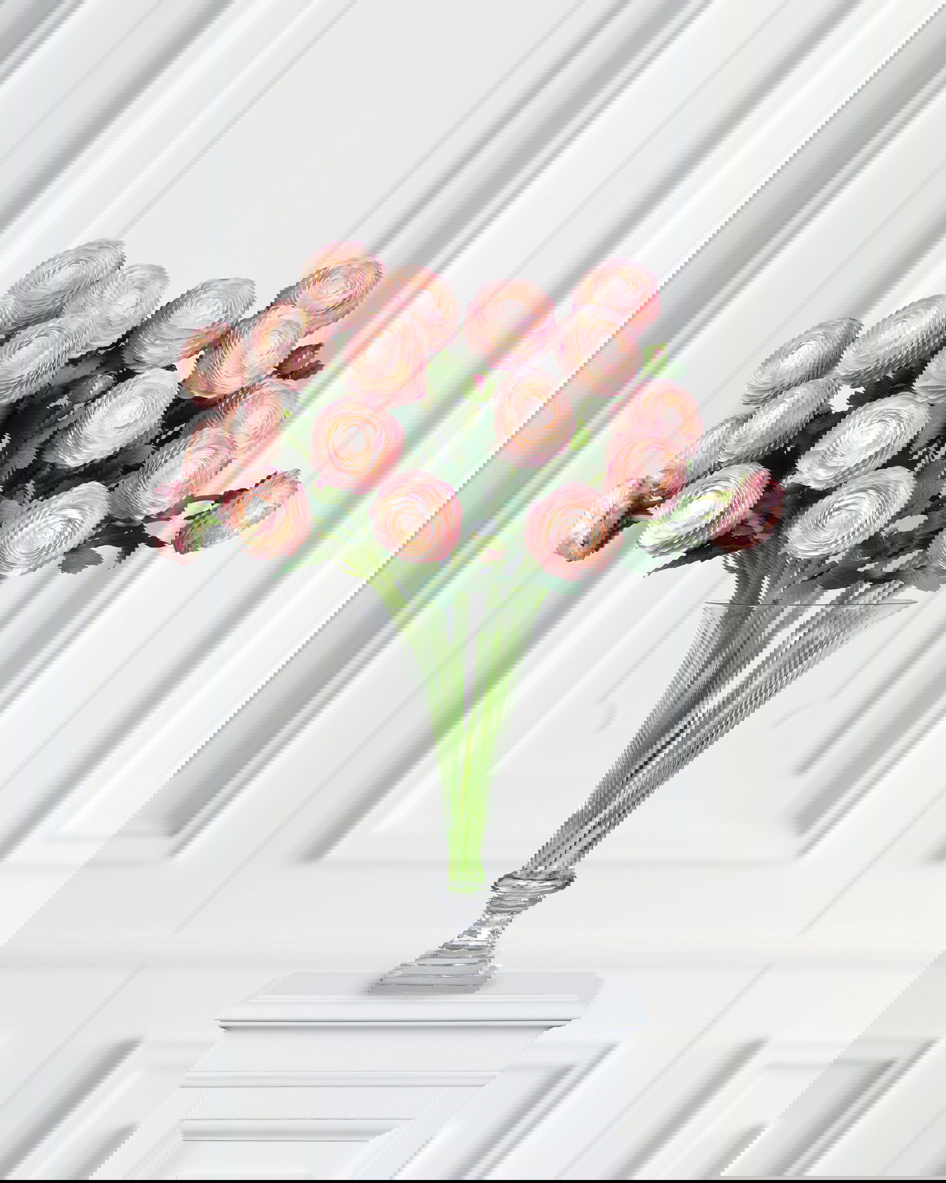 Ranunkeli leikkokukka vaaleanpunainen