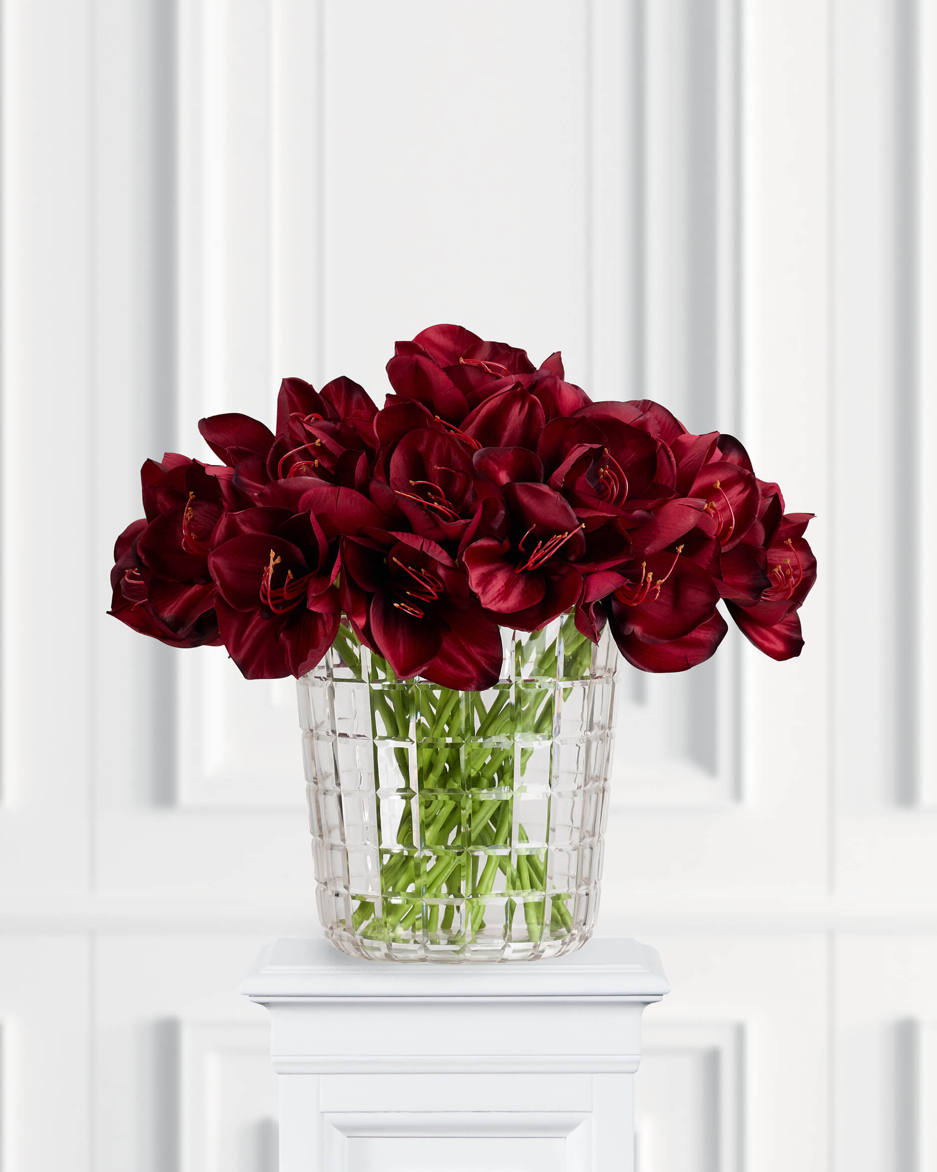 Amaryllis snittblomma burgundy