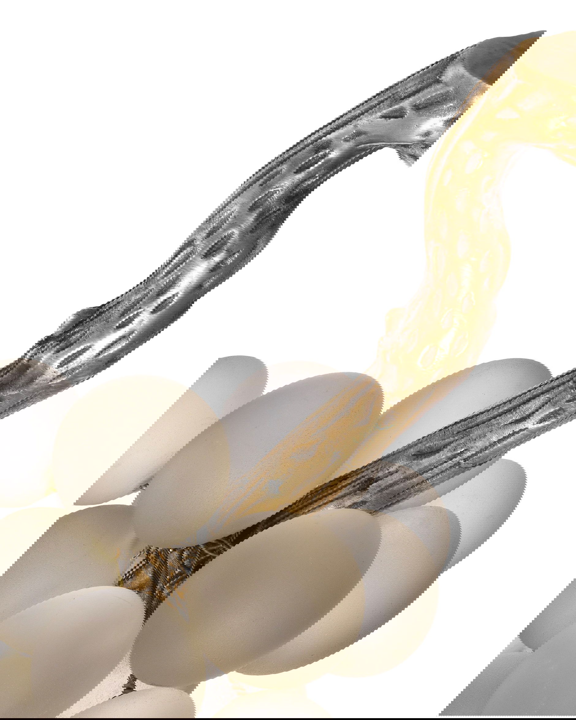 French Grapes dekoration vit