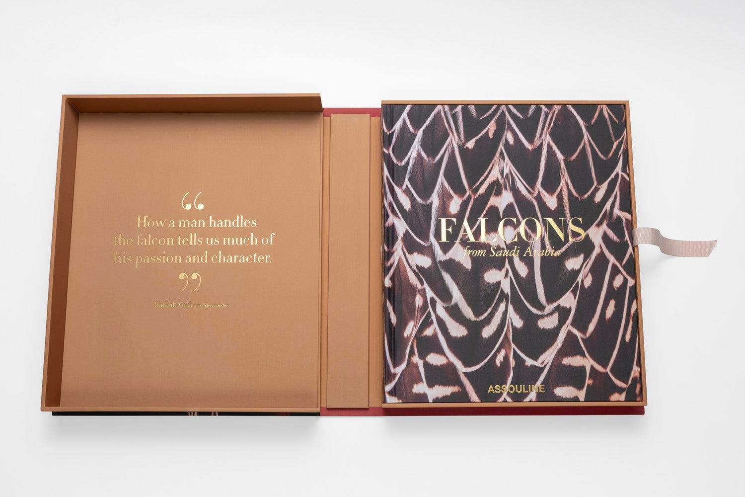 Falcons From Saudi Arabia