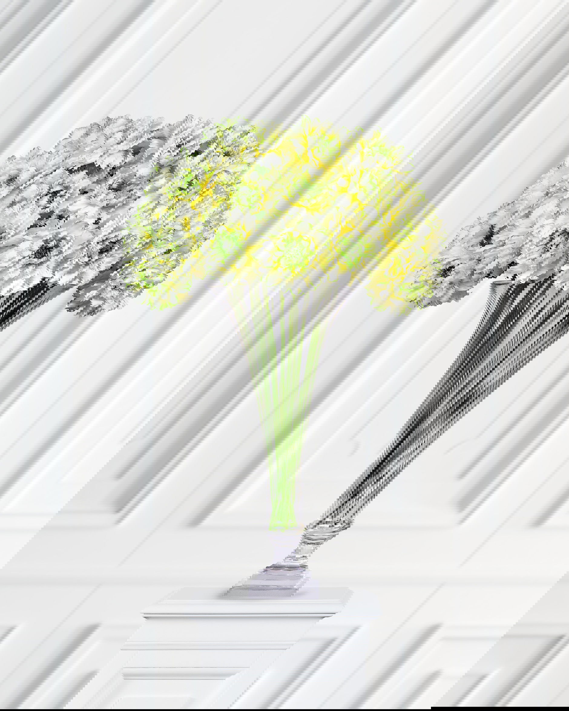 Ranunkel snittblomma grön