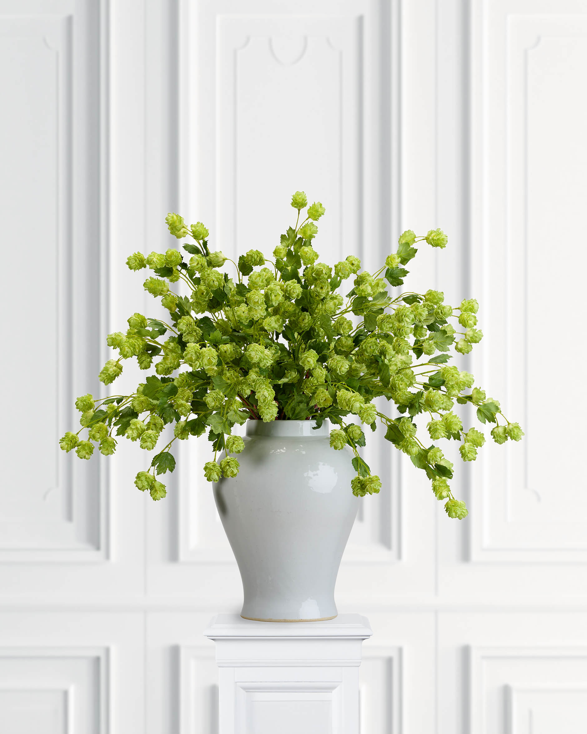 Hops Cut Flower Green