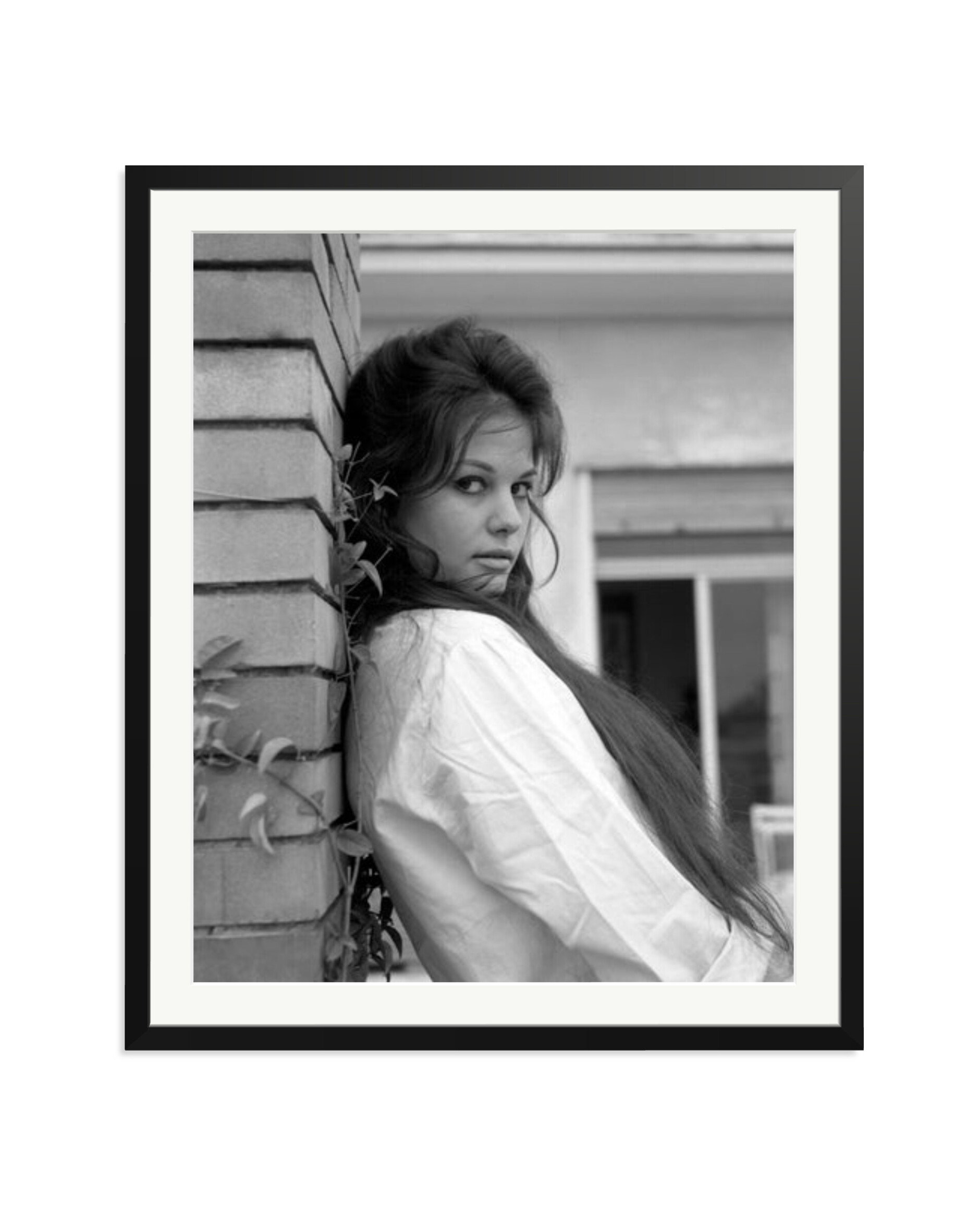 Claudia Cardinale, 1959 Black / XXL