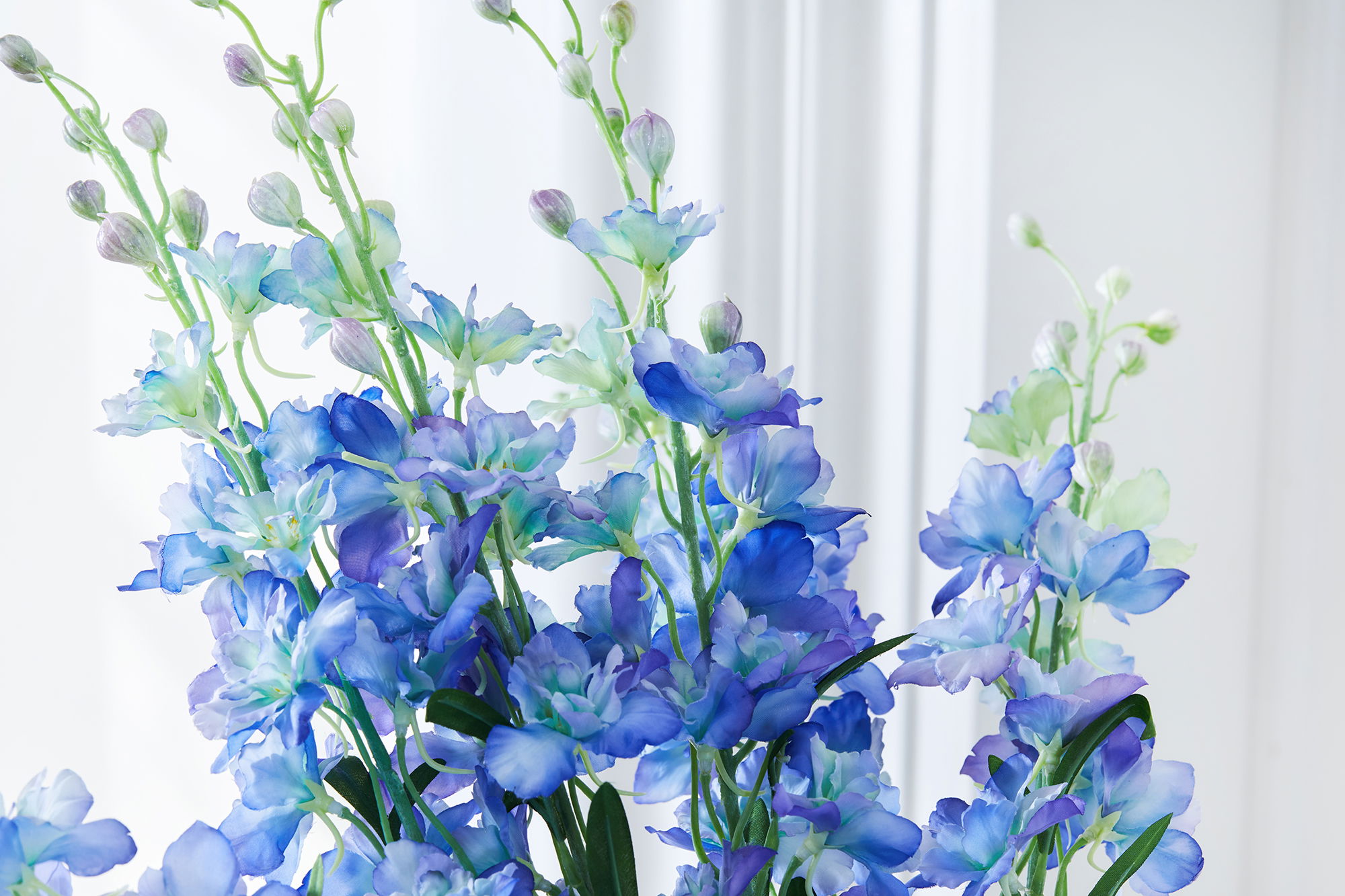 Delphinium leikkokukka sininen
