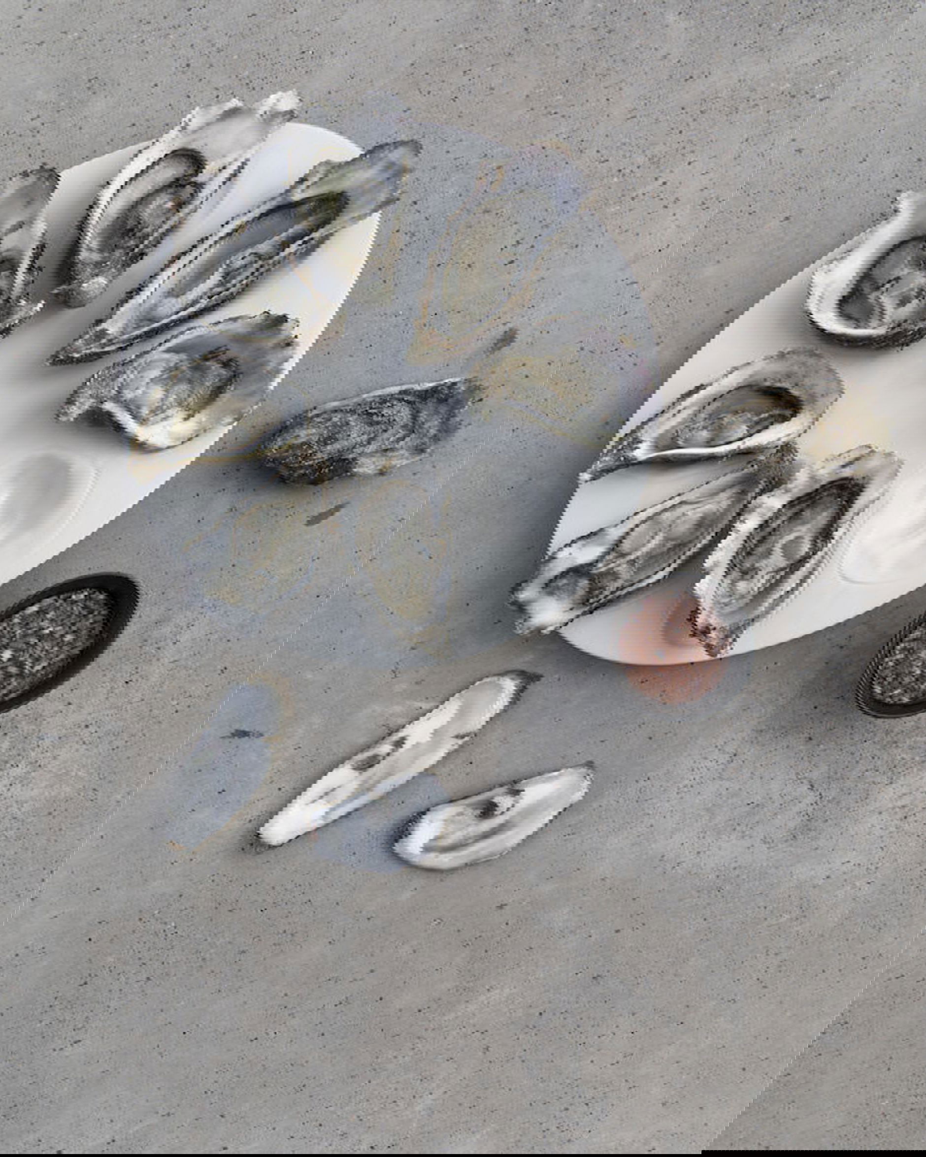 Cotier serveringsfat ostron