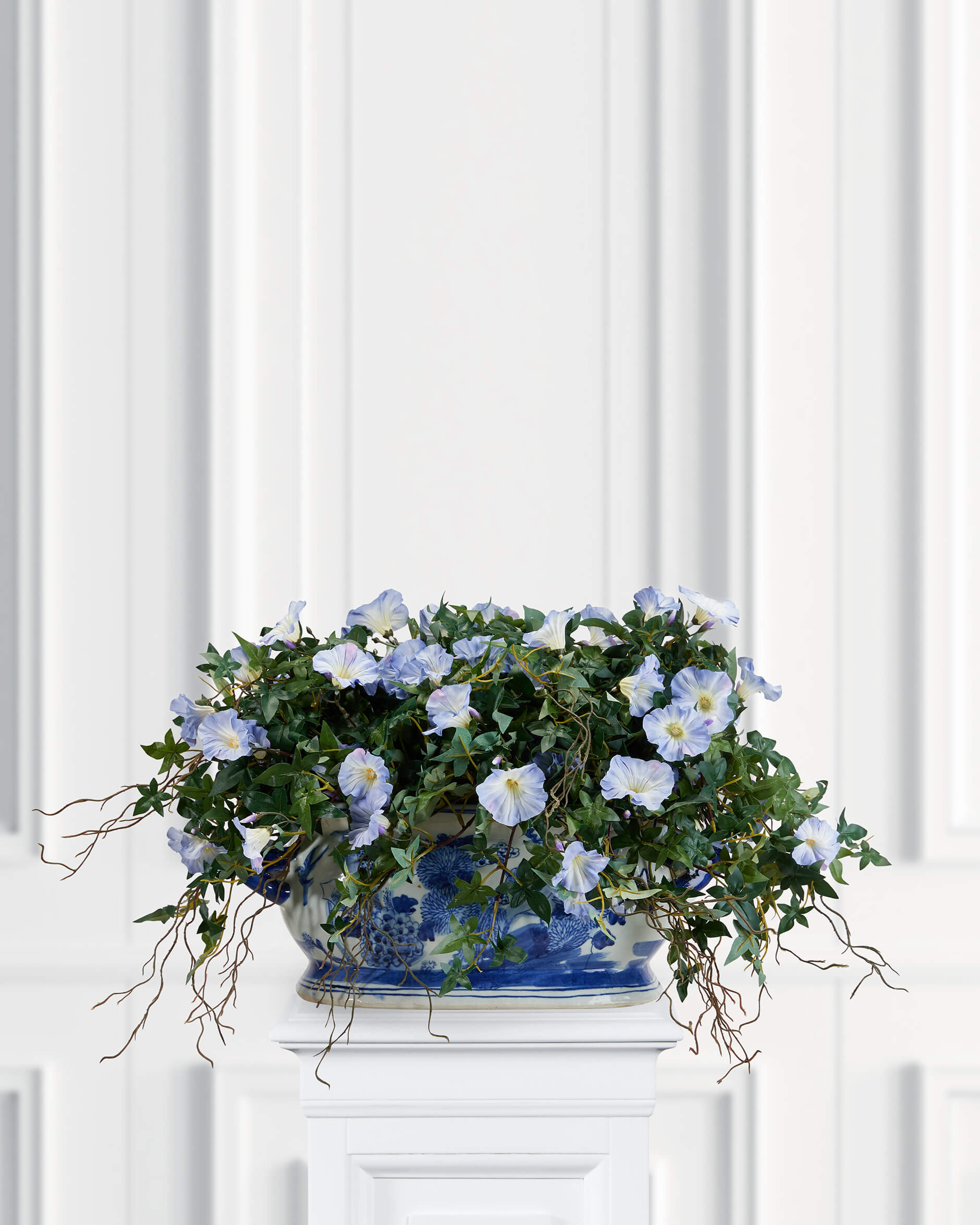 Blomma för dagen krukväxt blå