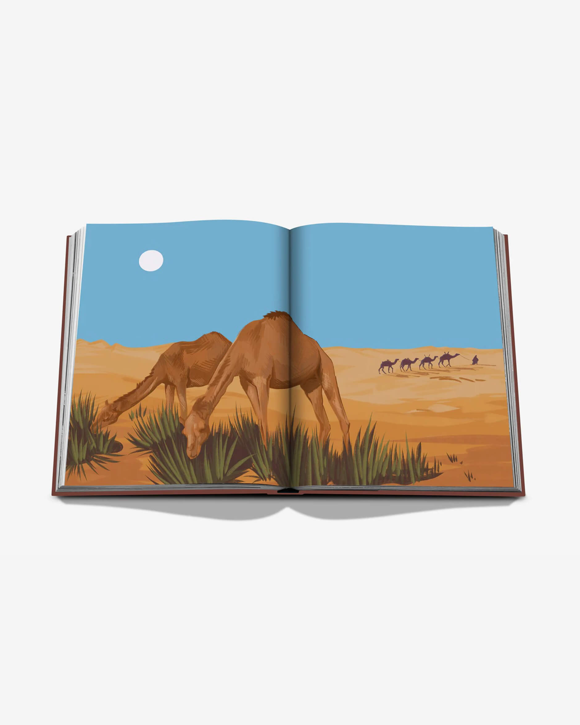 Mleiha, Ancient Treasures of the UAE