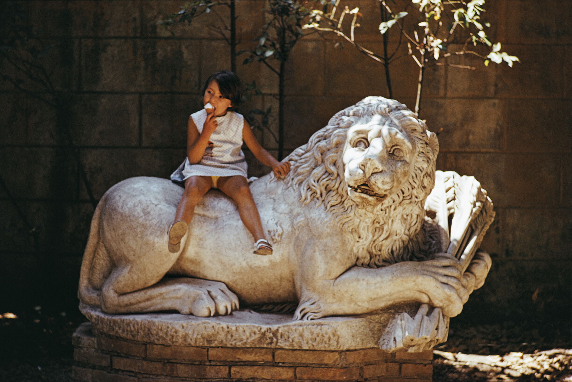 Villa Borghese Lion