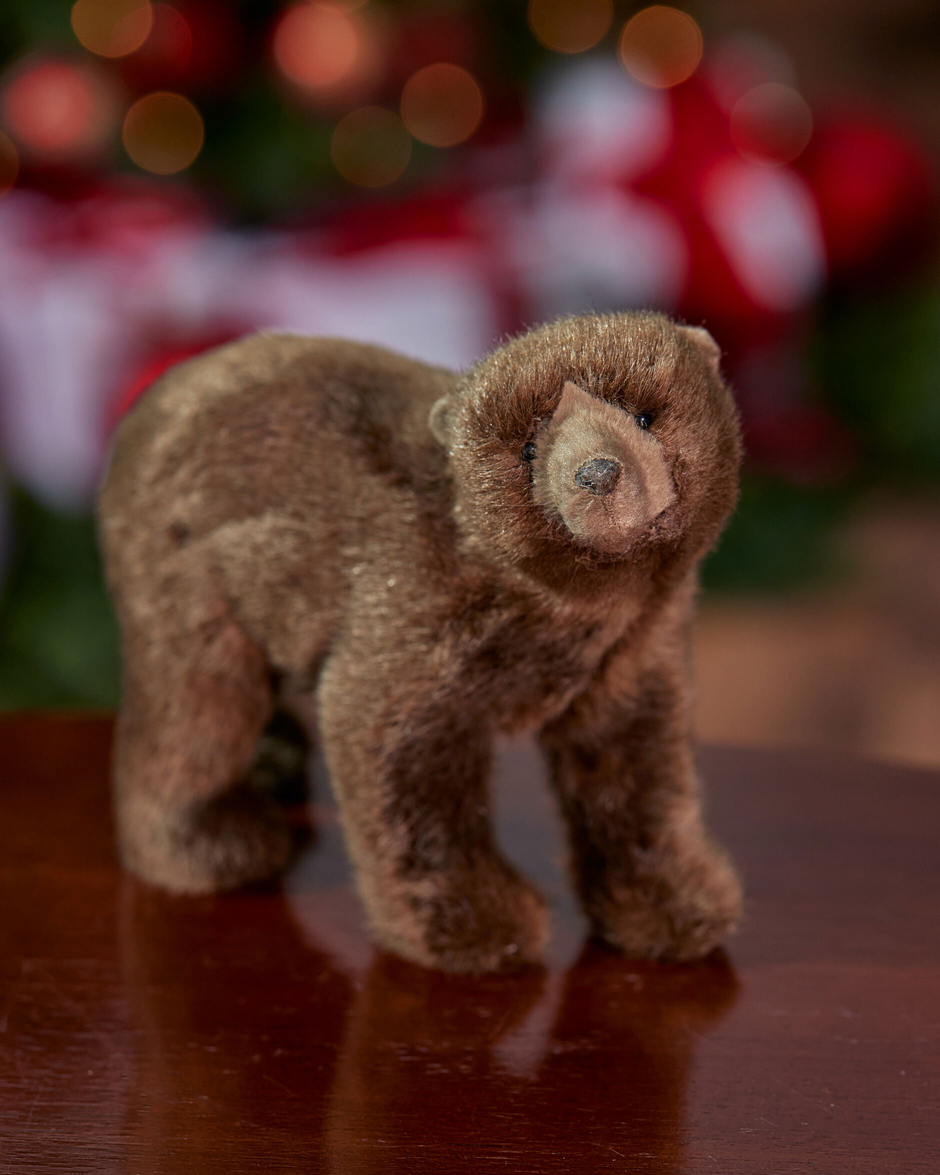 Constantin Bär Dekoration