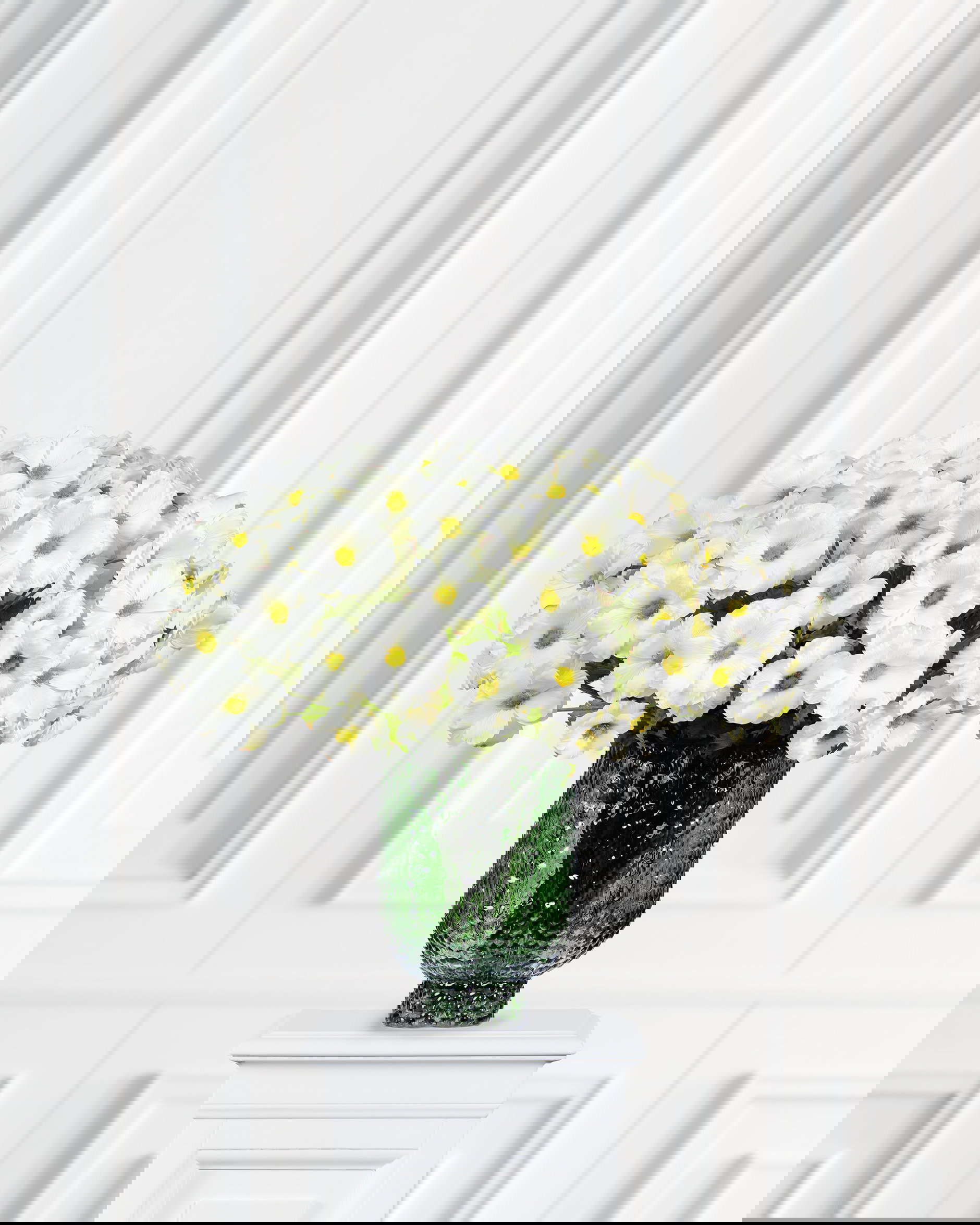 Vlinderranonkel snijbloem groen