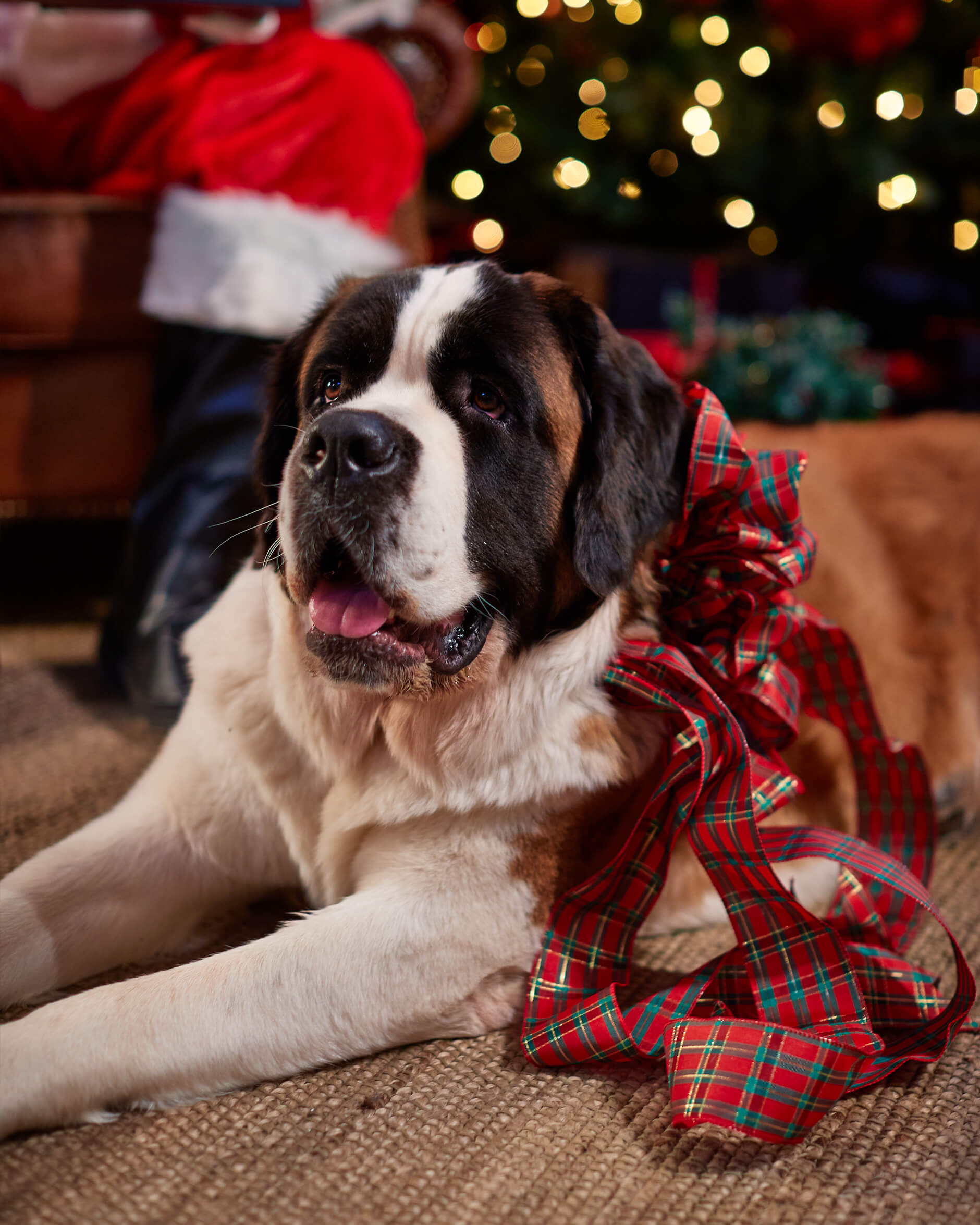 Ruth textilband rutigt 9m