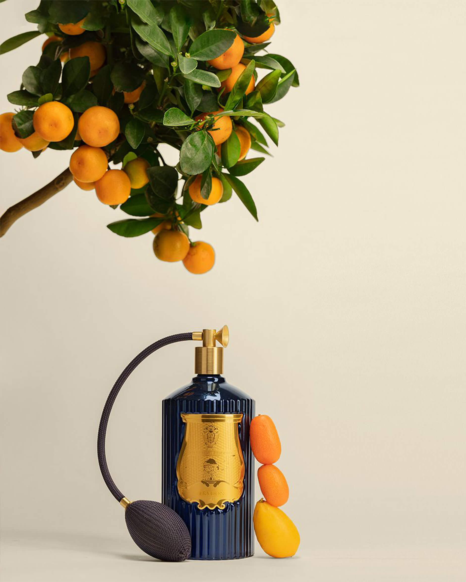 Trudon Room Spray Reggio