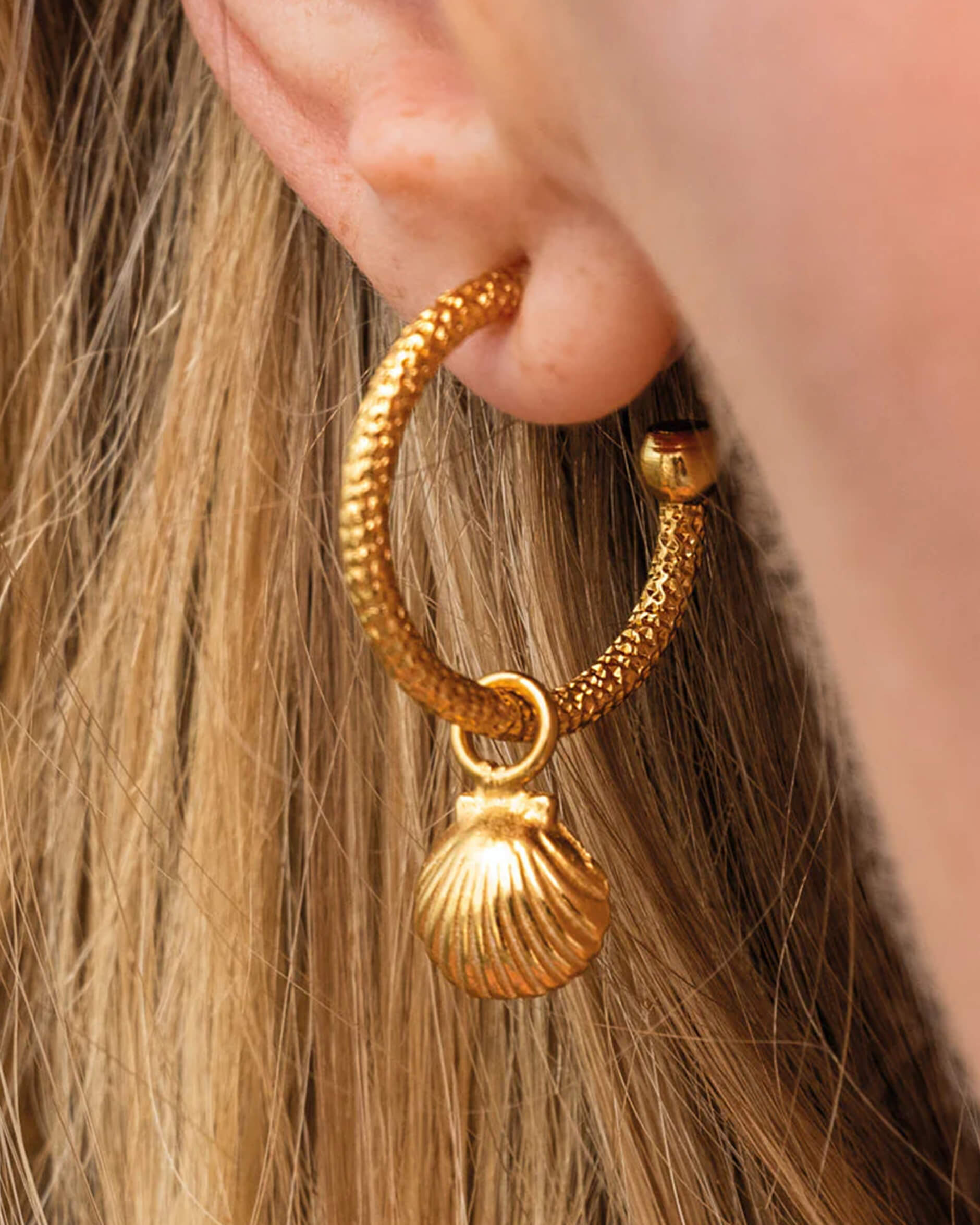 Shell loops örhängen guld