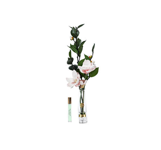 Rosa - Magnolia d'Été gavesett