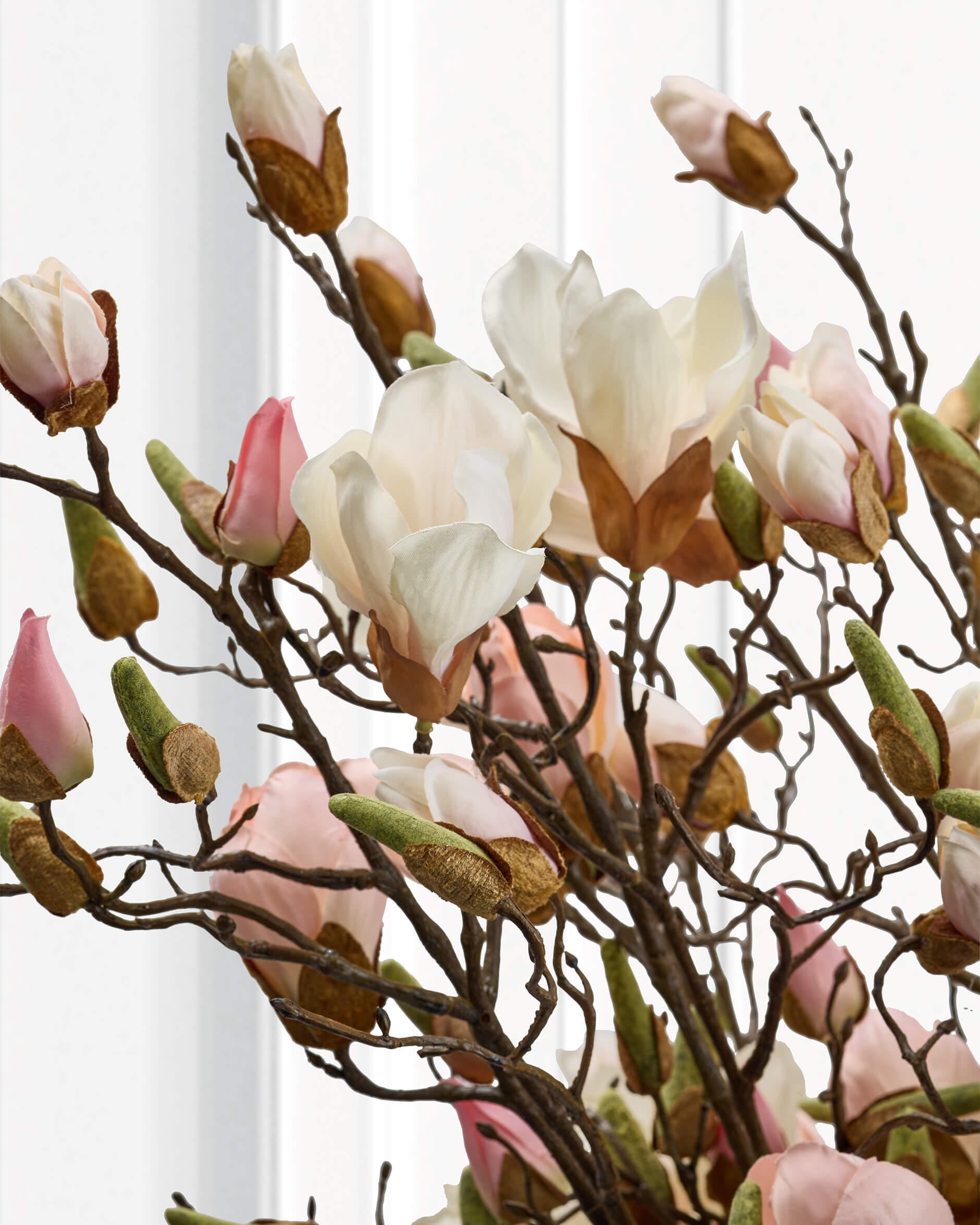Magnolia snittblomma vit/rosa