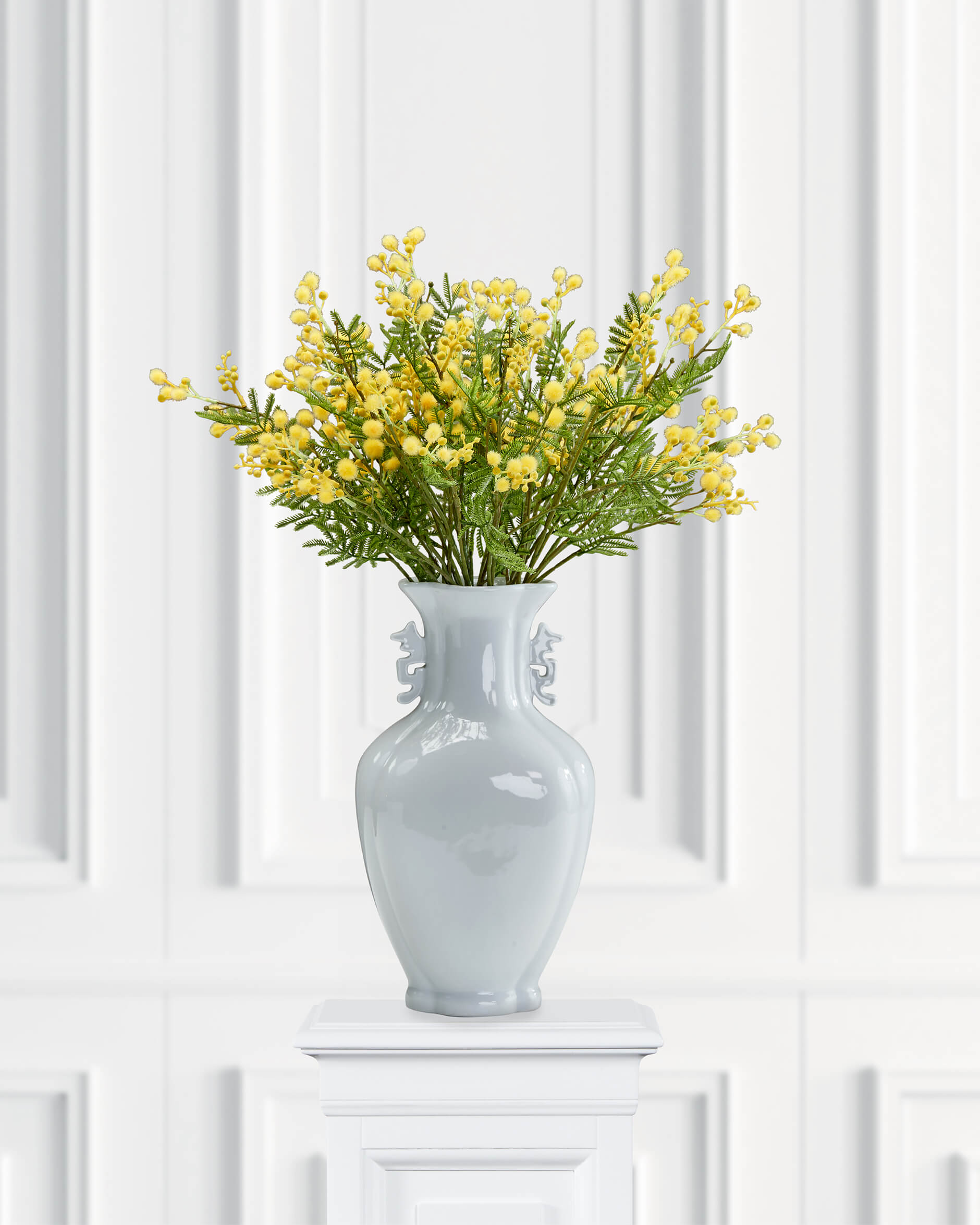 Mimosa snittblomma gul