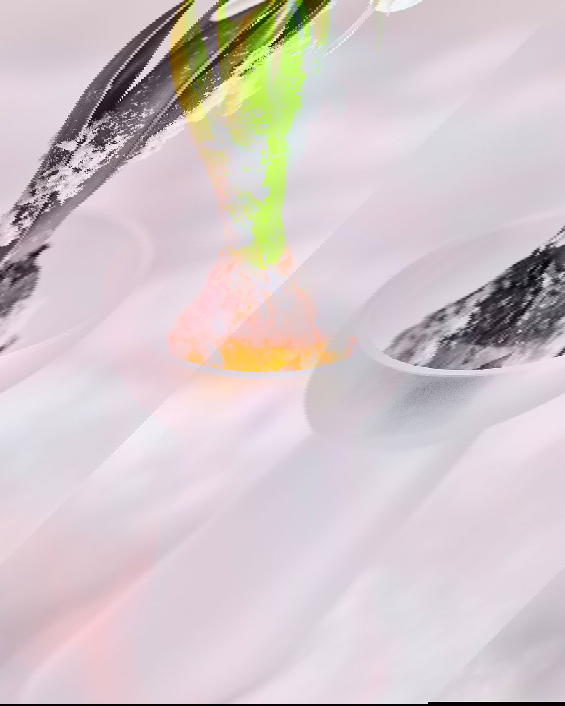 Eudora-hyasinttimaljakko