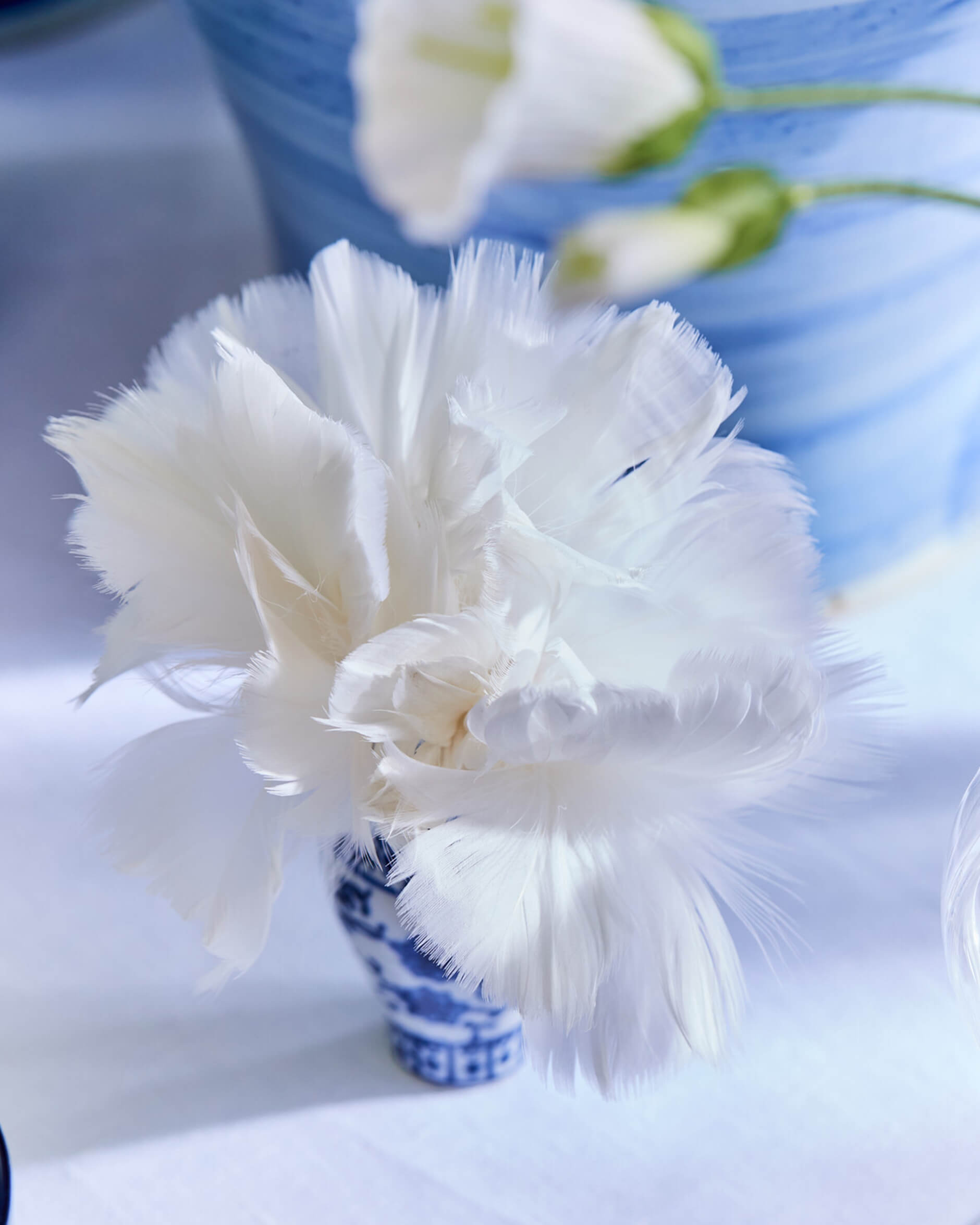 Wittra paasveren wit