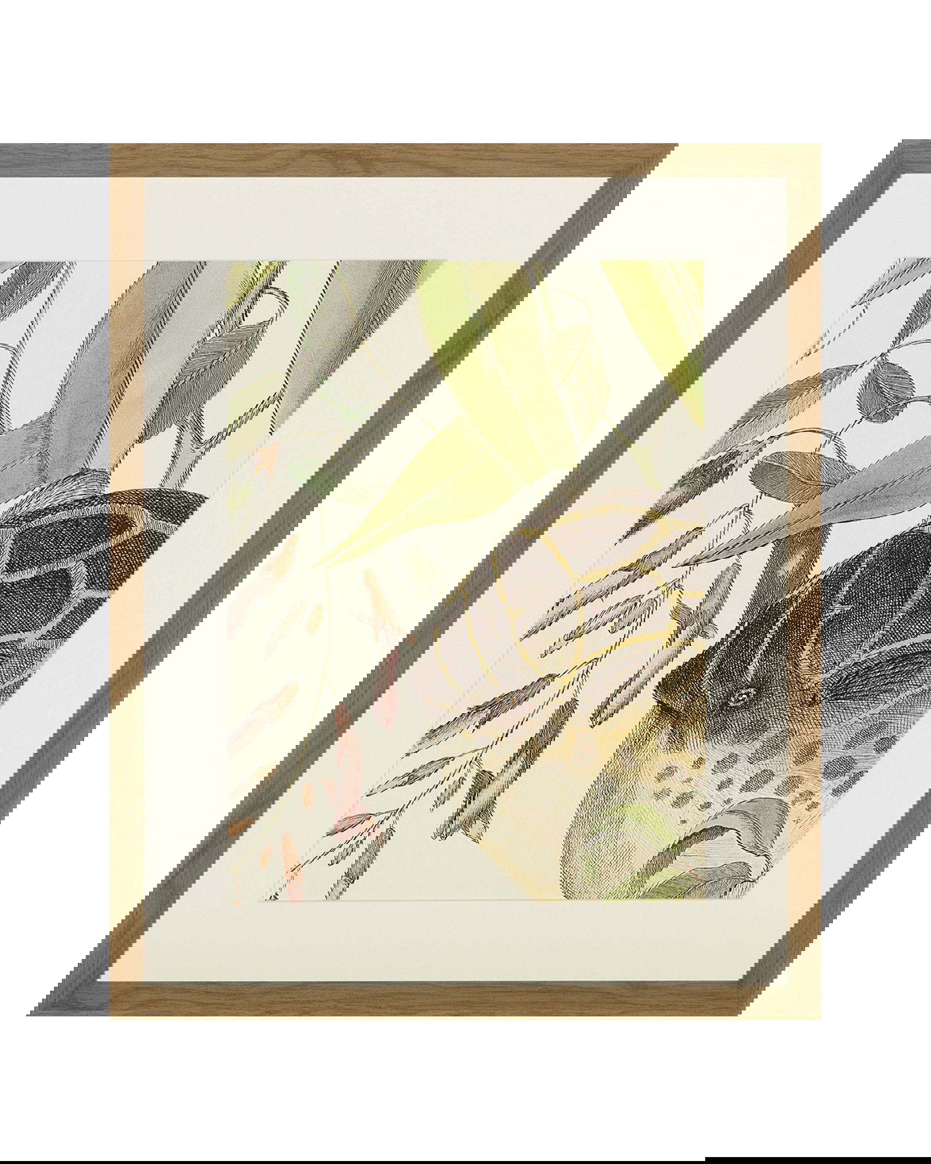 Frog, Balsam, Lizard, Fish (set of 4)