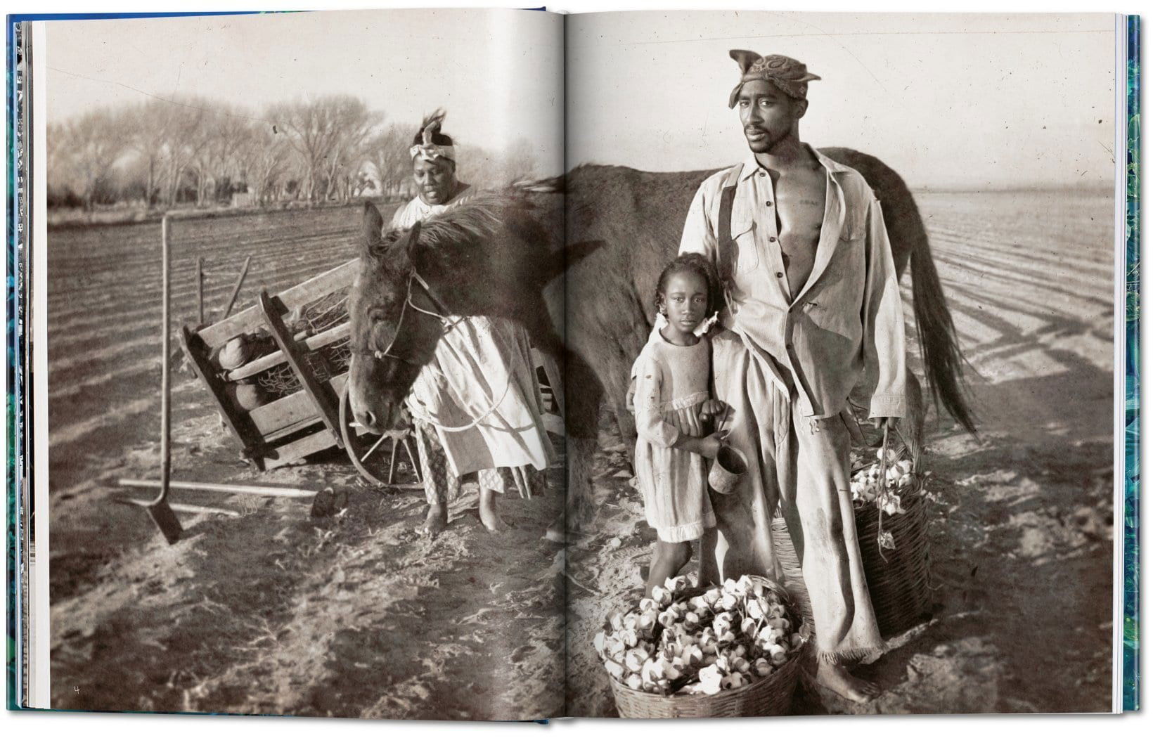 LaChapelle, Good News