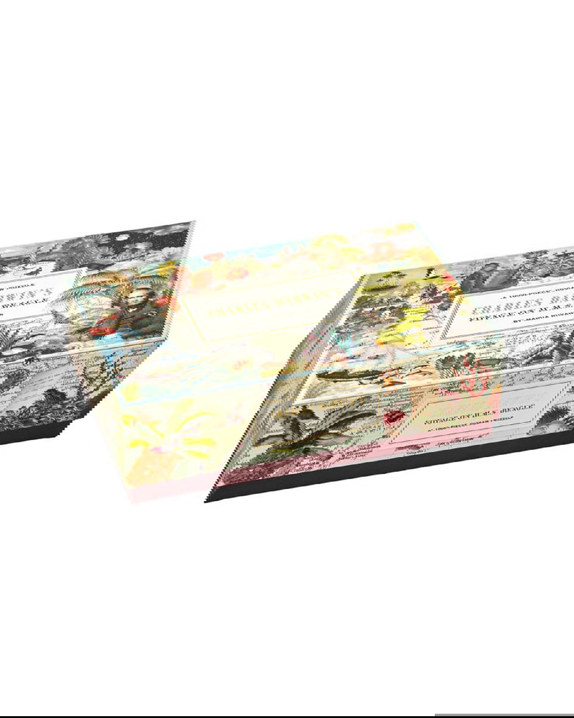 Charles Darwin pussel