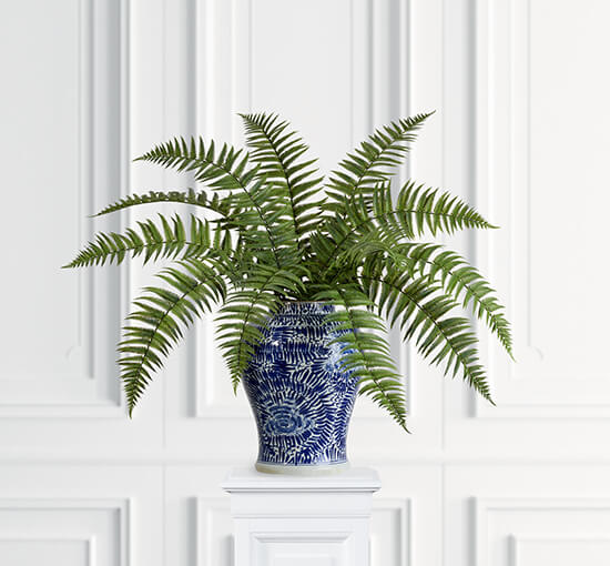 Fern Leaf Green
