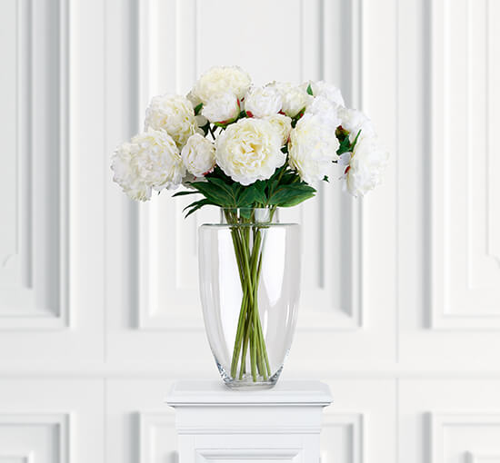 Peony Cut Flower White