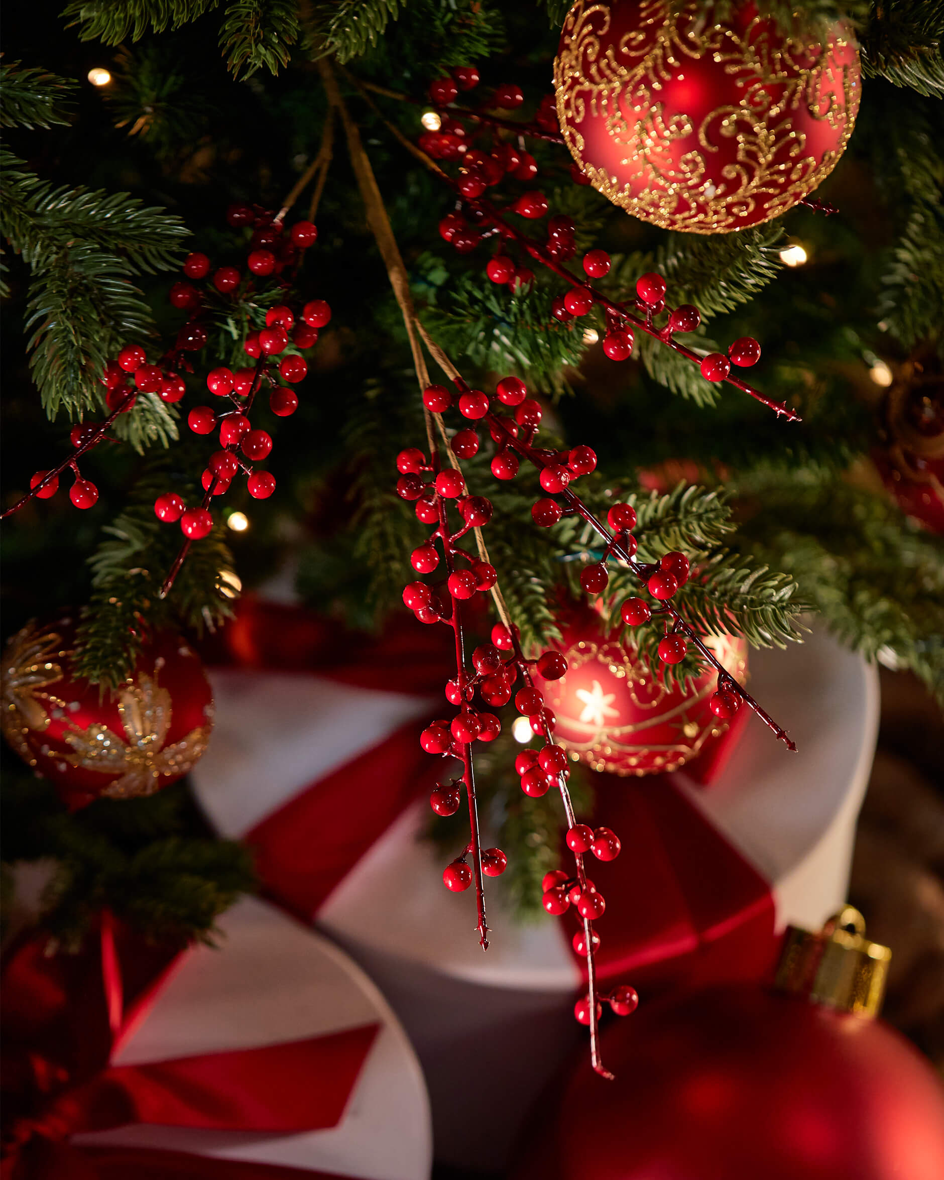 Ashby bärkvist röd