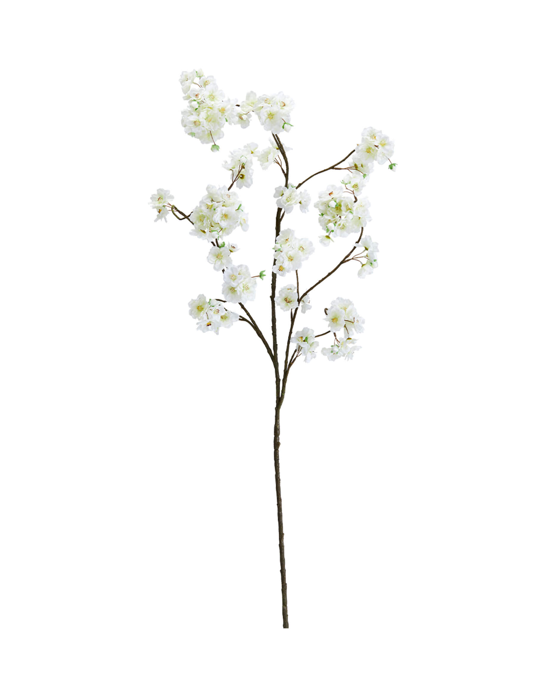 Cherry Branch White