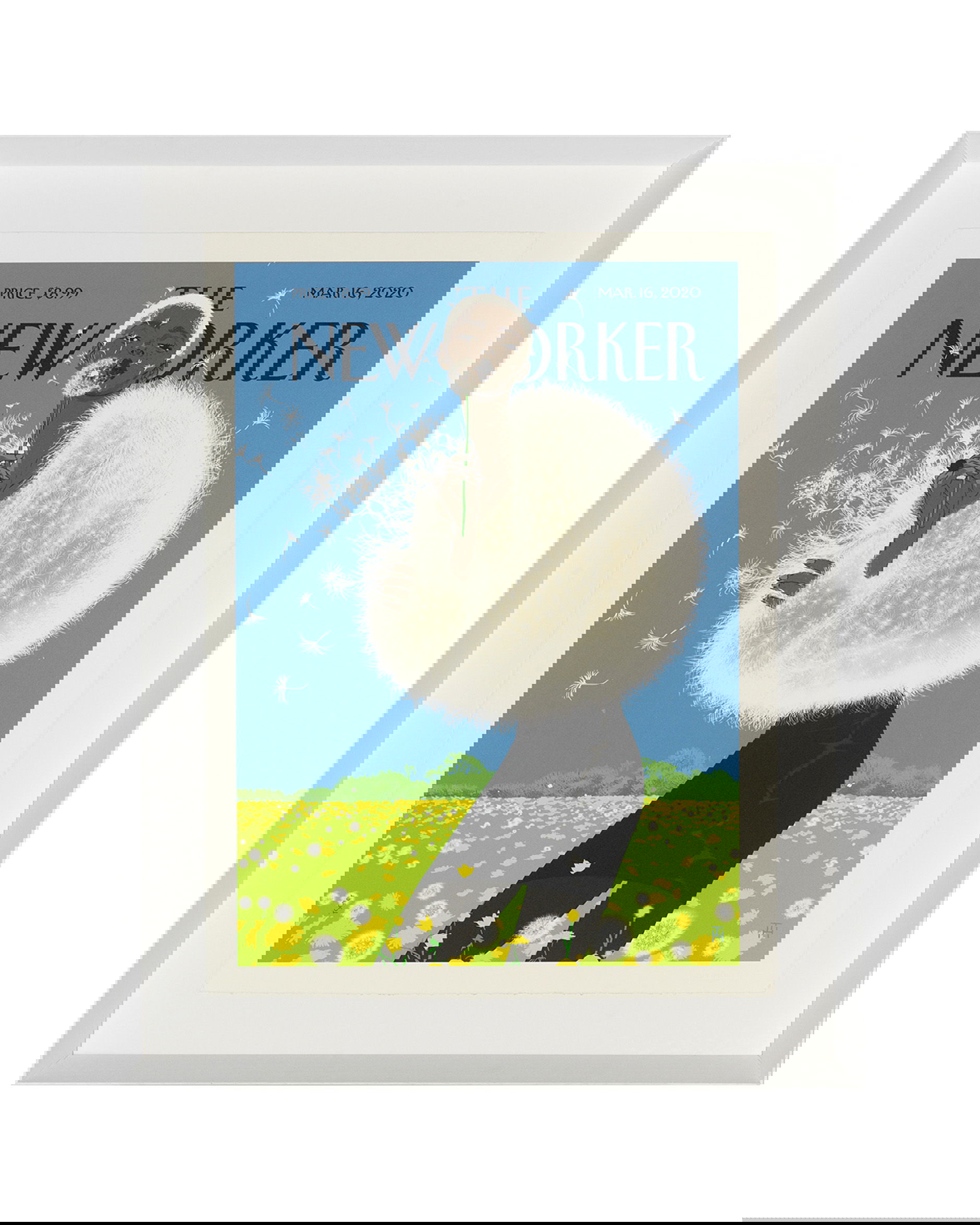 The New Yorker Tomer