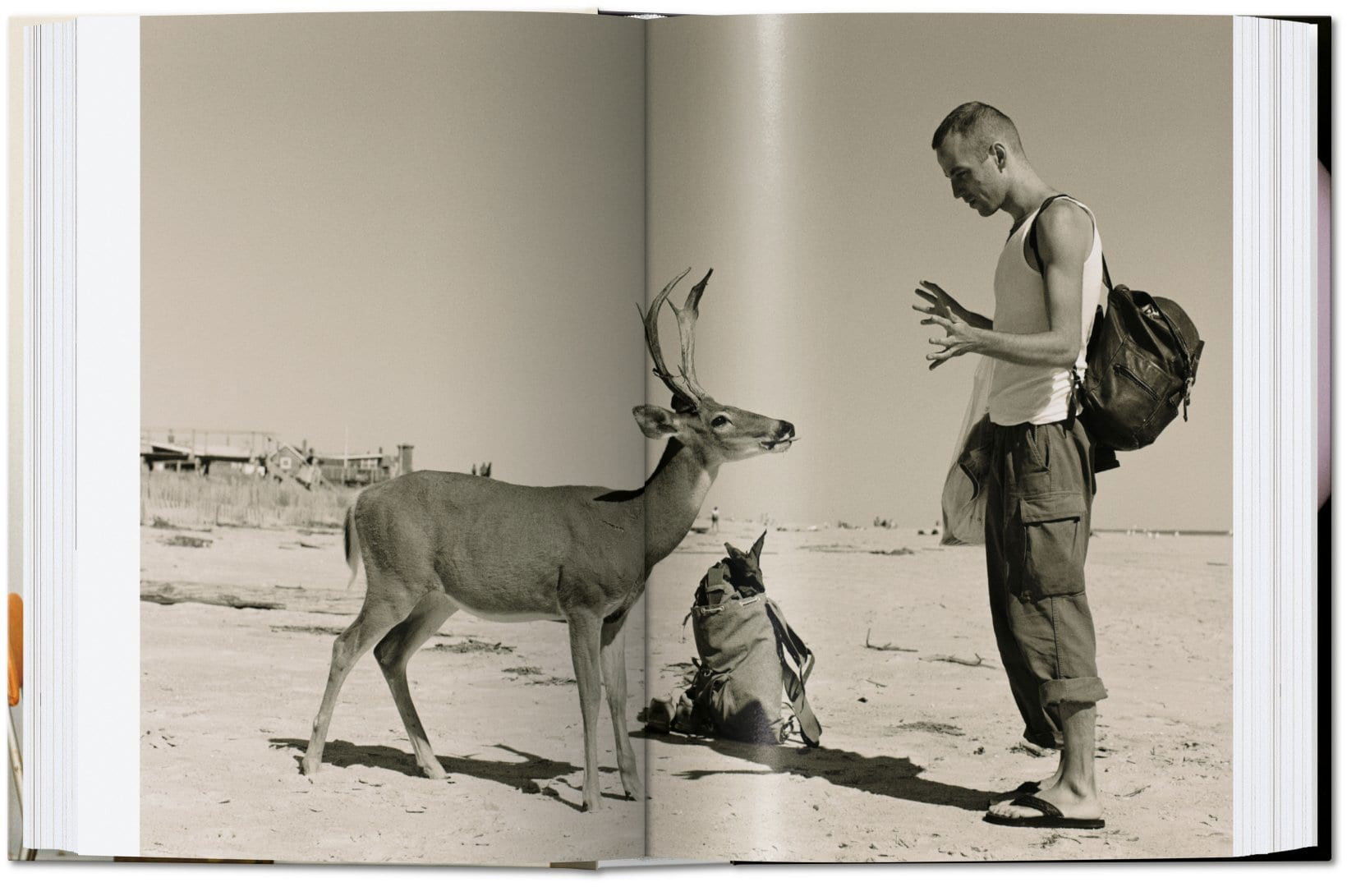Wolfgang Tillmans - The Complete Works - 40 series - Newport