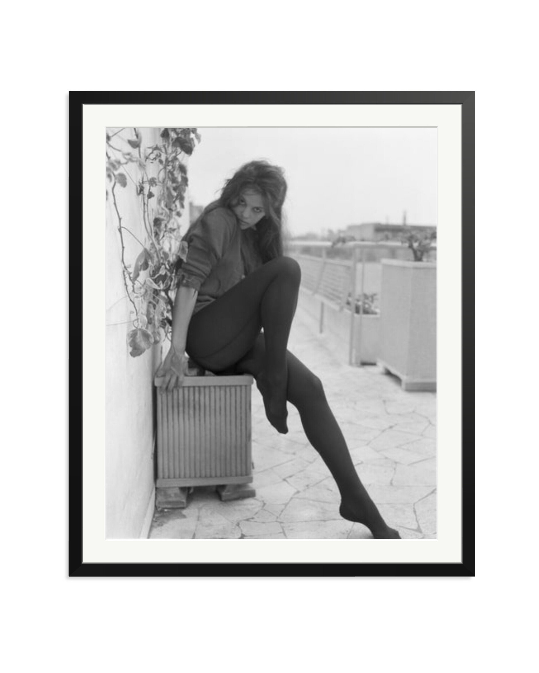 Cardinale Posing in Rome Black / XXL