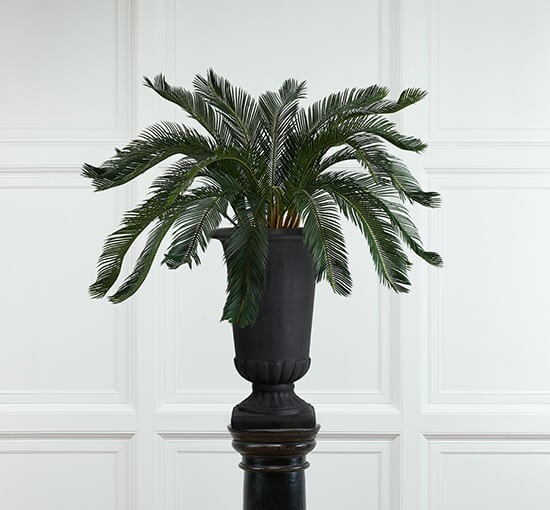 Cycas palm konstträd grön