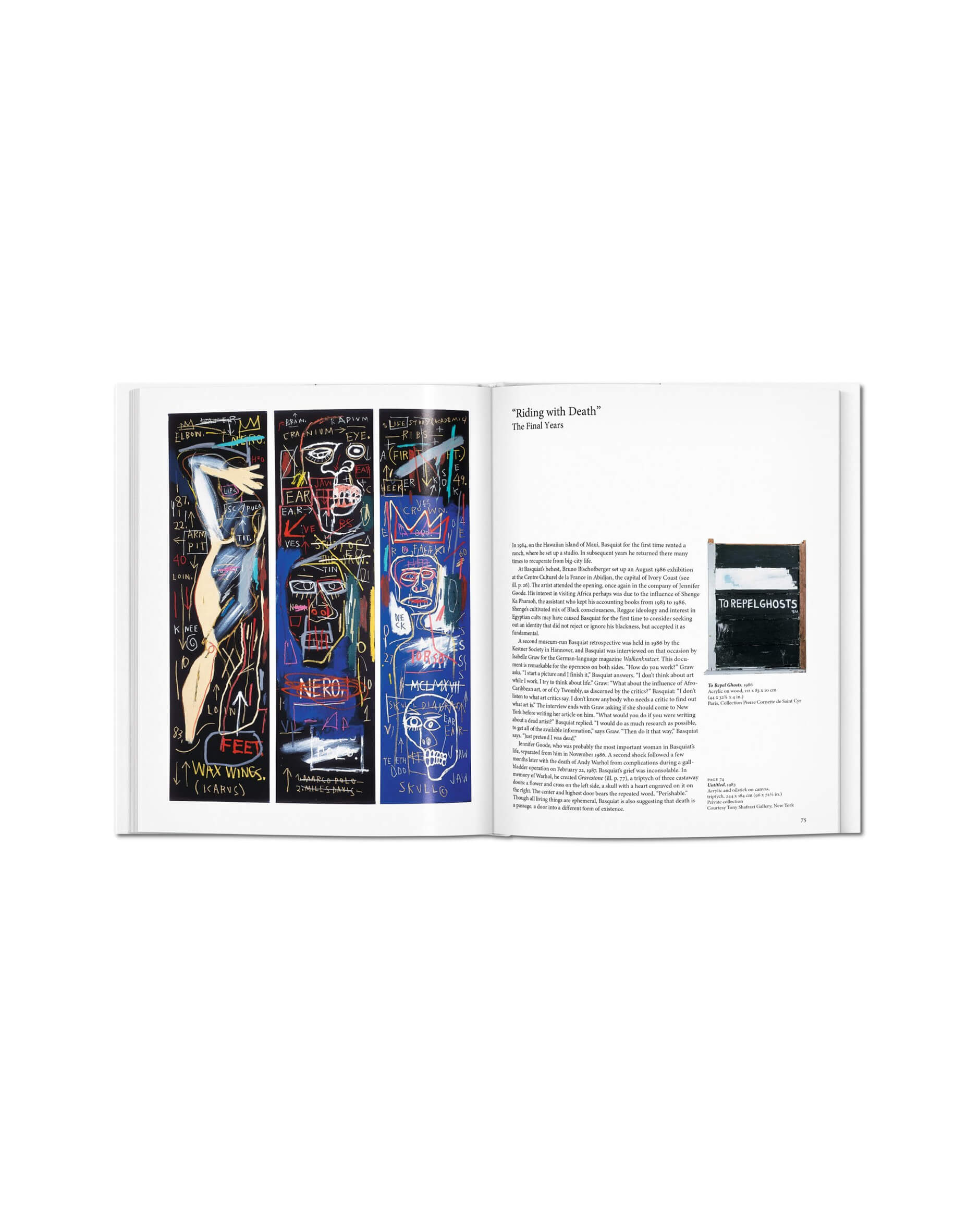 Basquiat - Basic Art Series