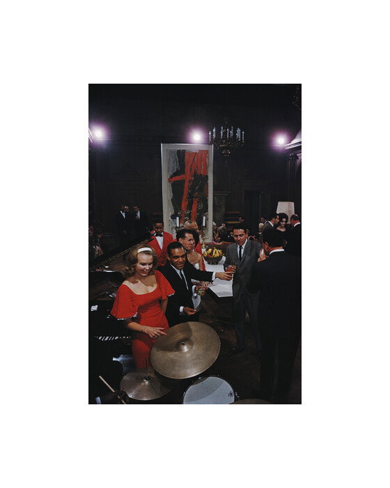Party at The Playboy Mansion