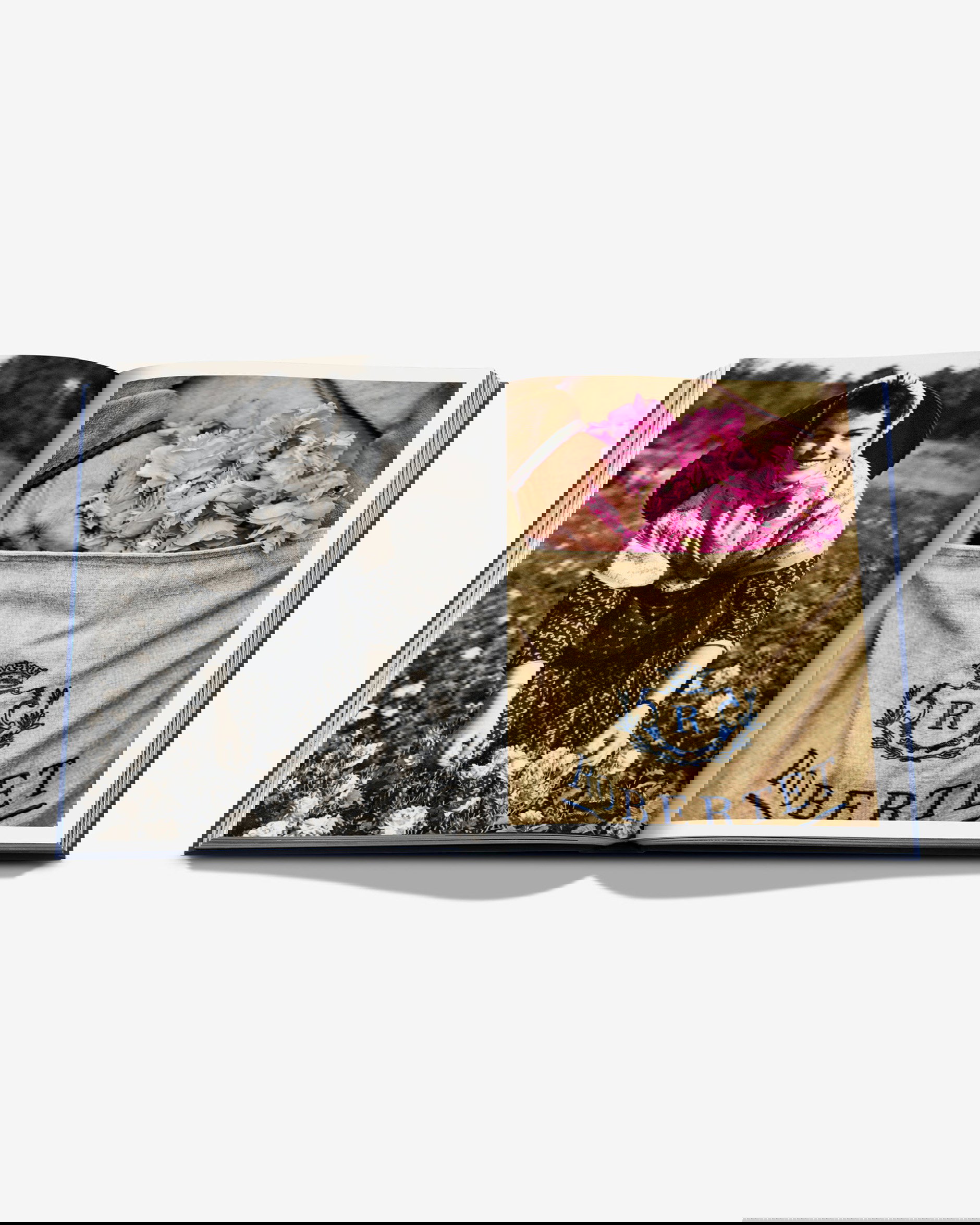 Robertet: From Seed to Scent