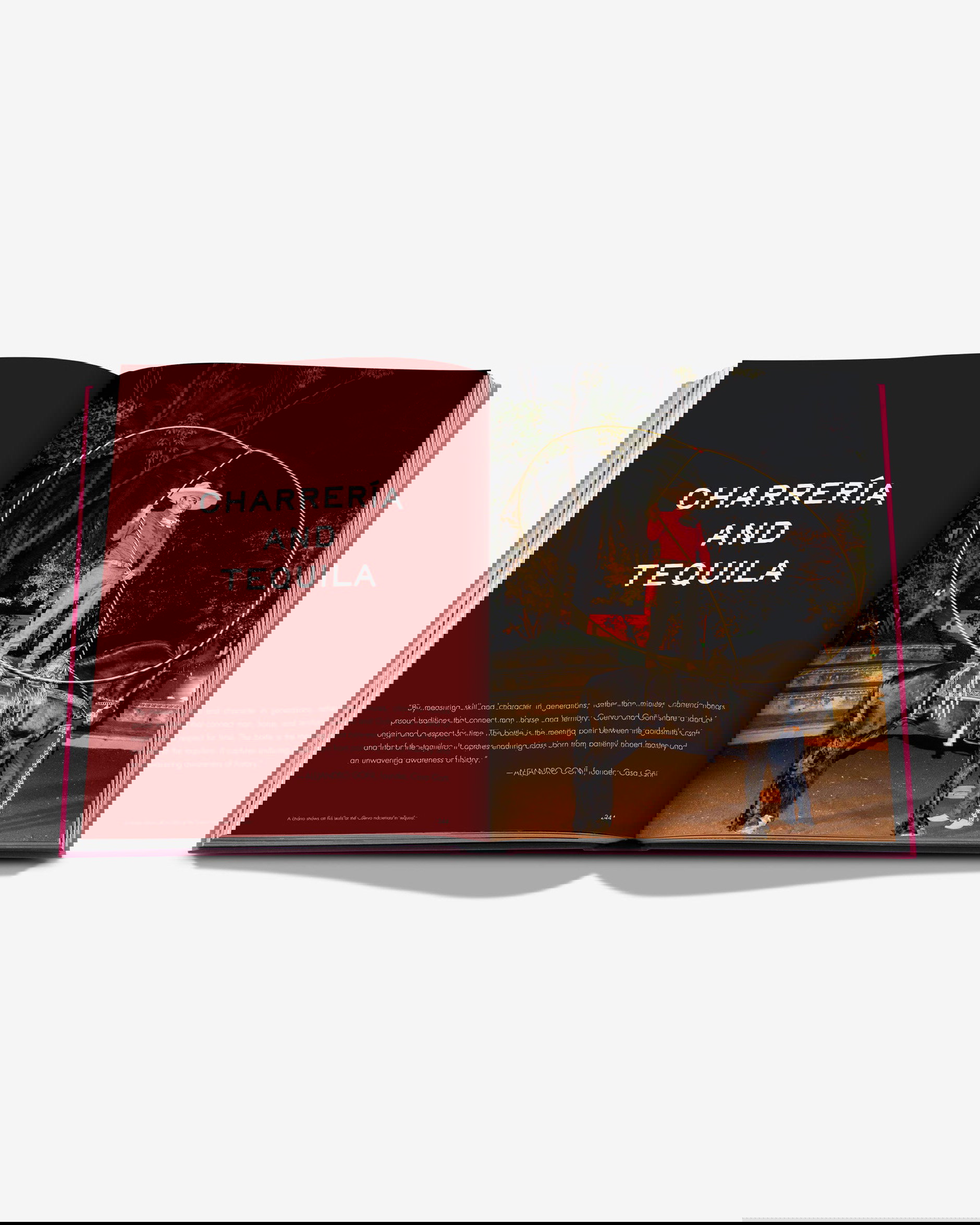 The Art of Tequila, Spirit of Mexico