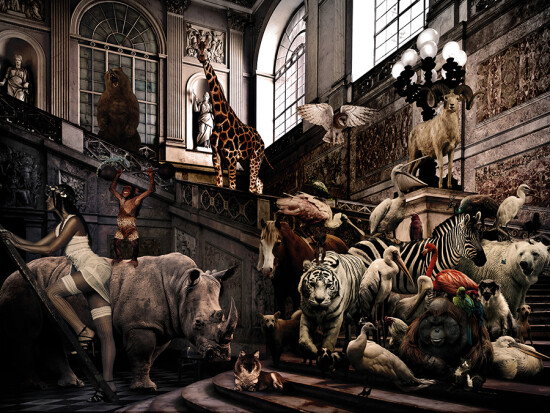 City Jungle