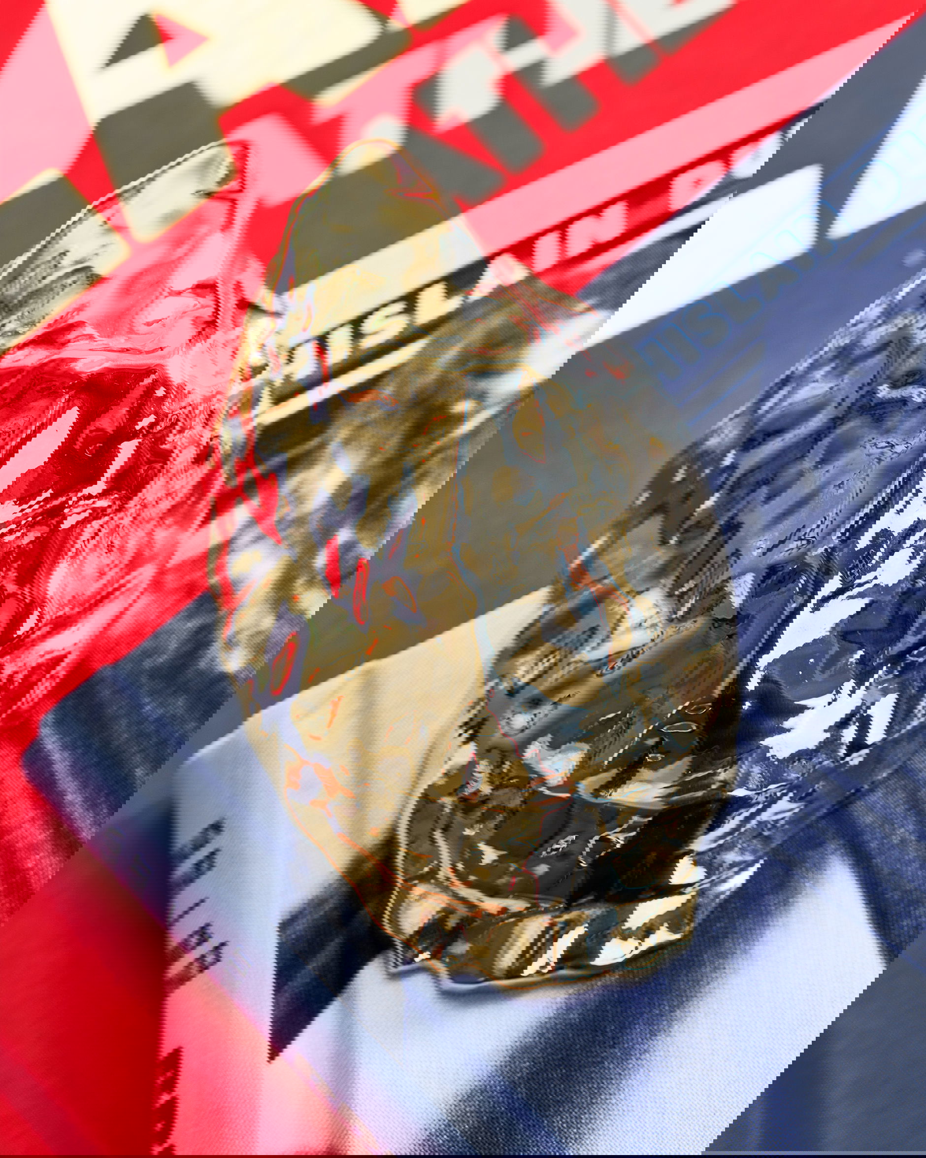 Oyster Bottle Opener Brass