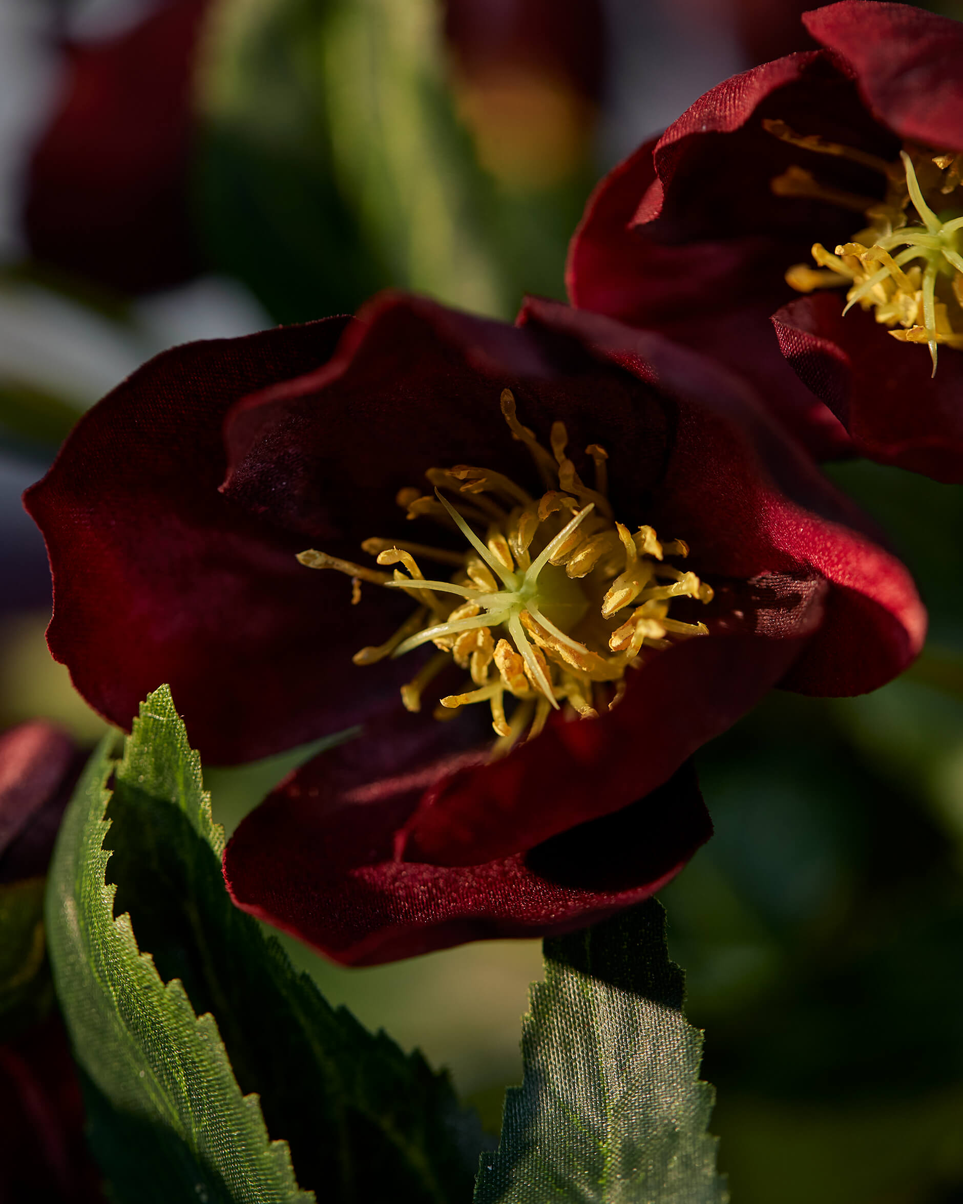 Julros snittblomma vinröd