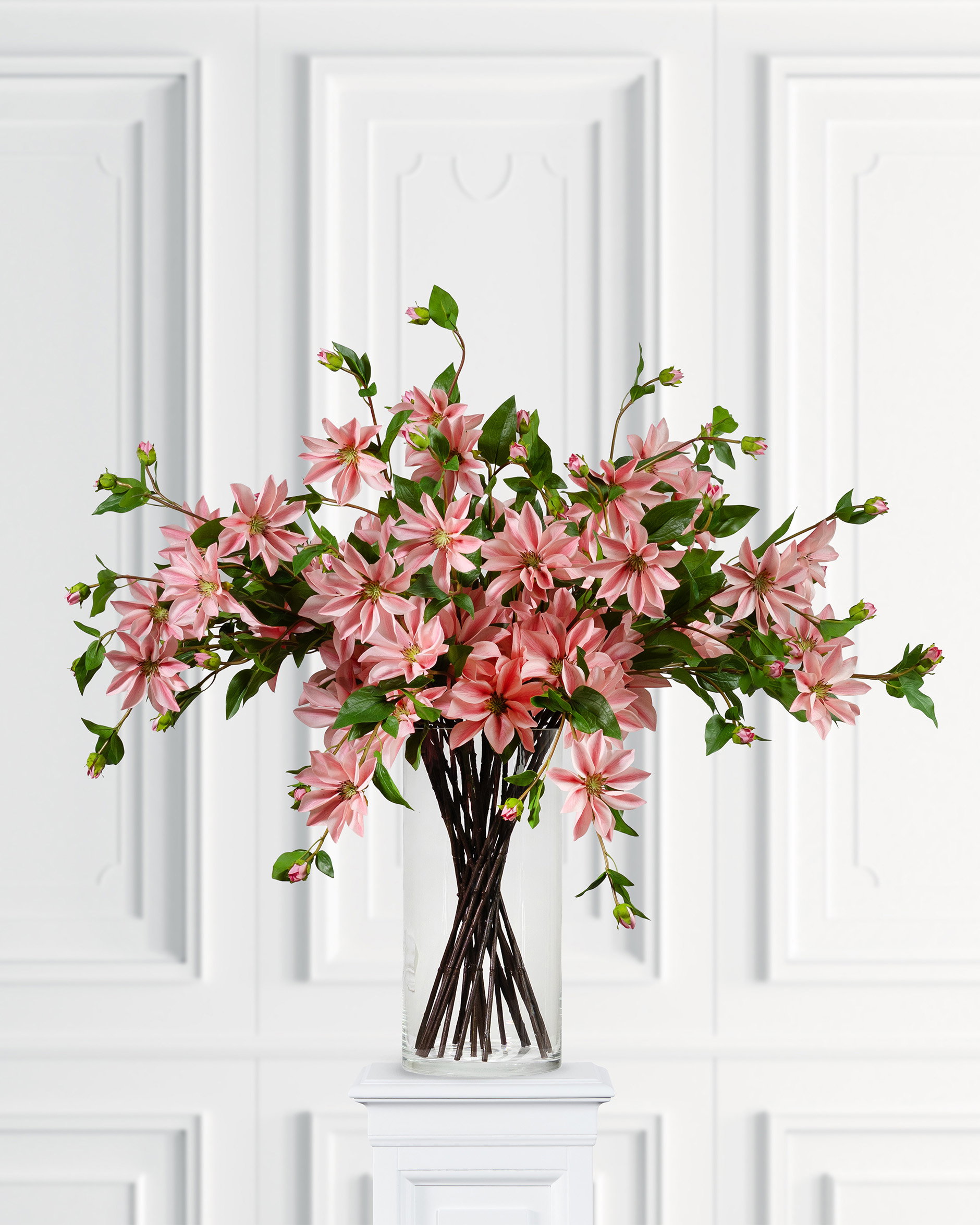 Clematis cut flower pink