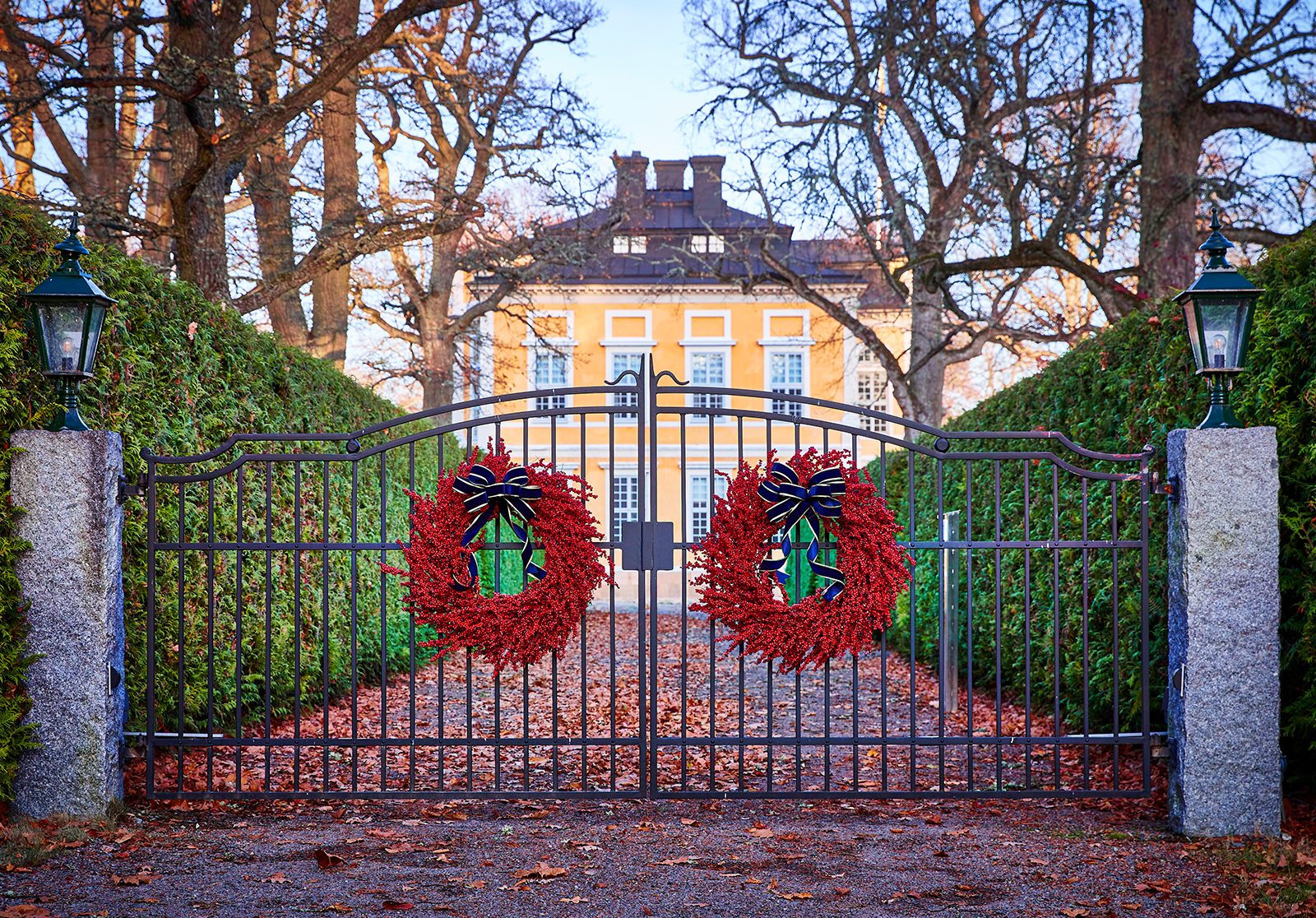 Wreaths and Garlands