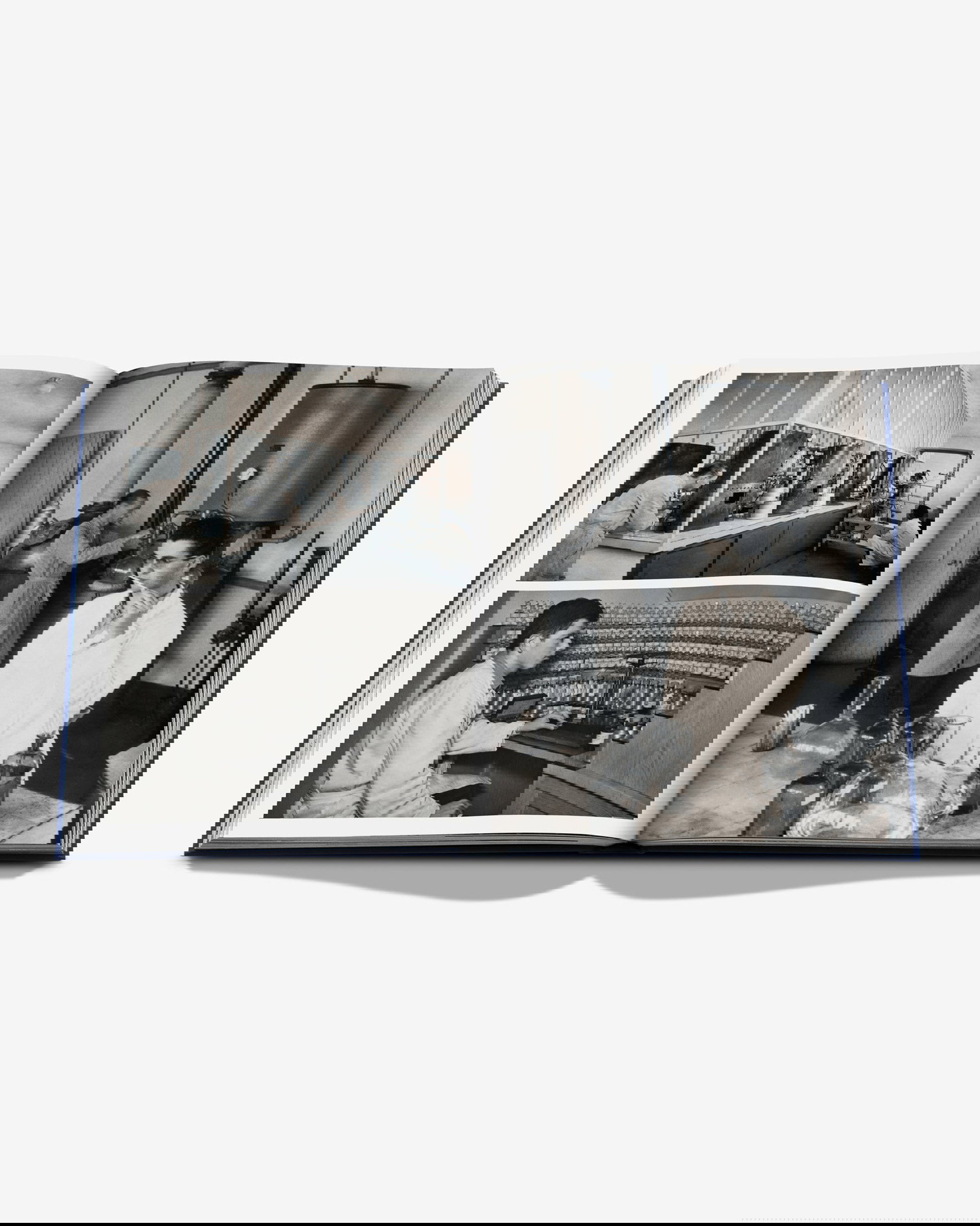 Robertet: From Seed to Scent