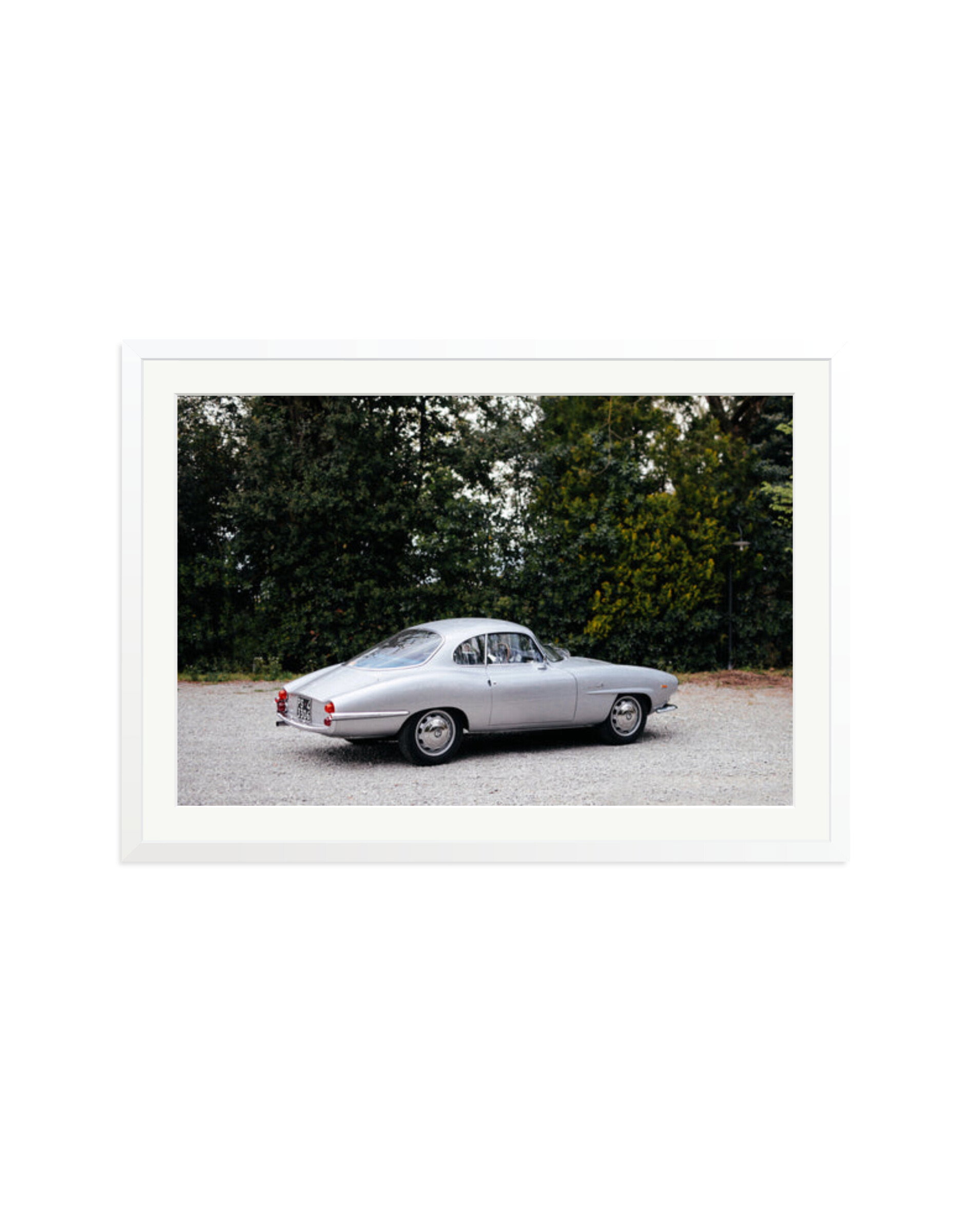 1964 Alfa Romeo Giulia SS White / XXL
