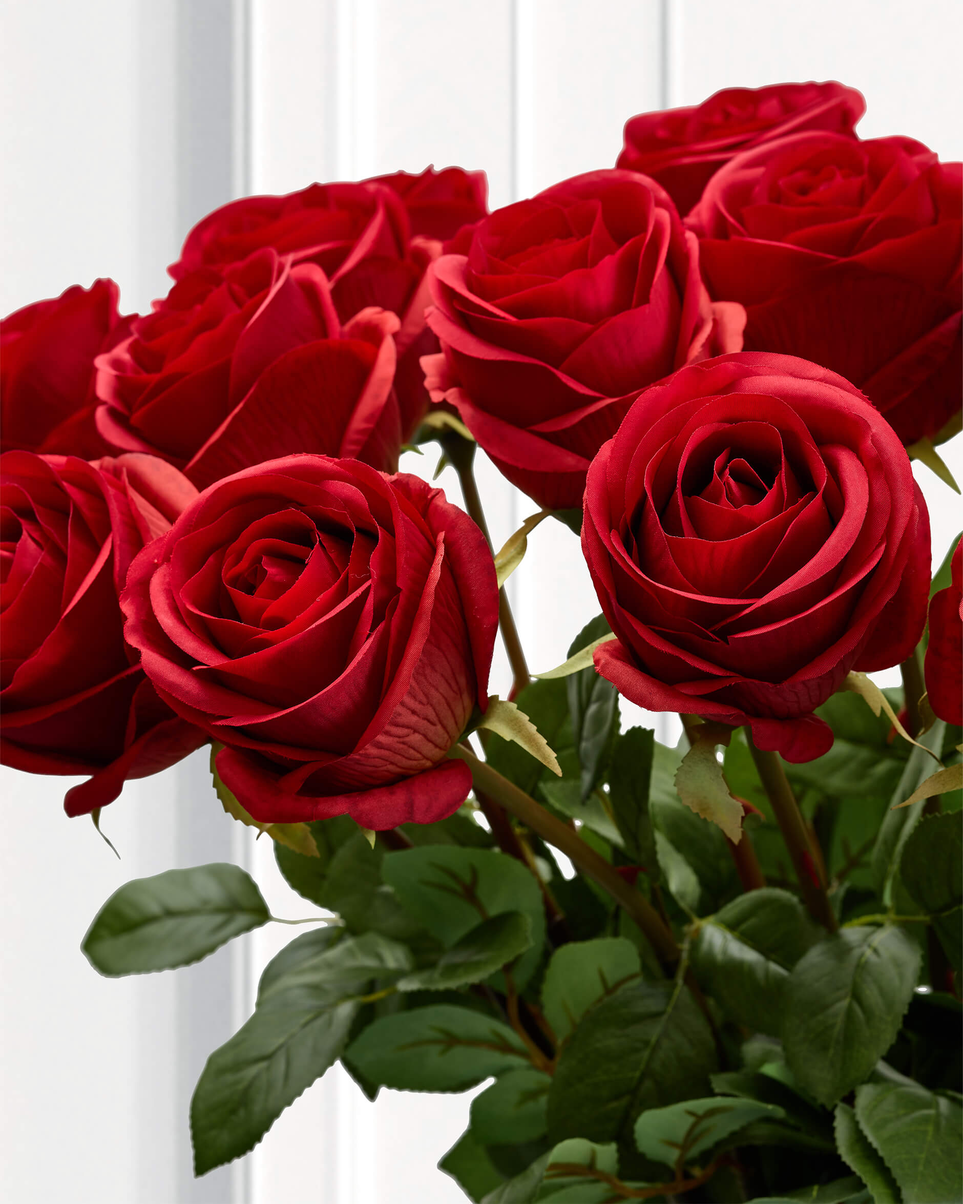 Ros snittblomma röd