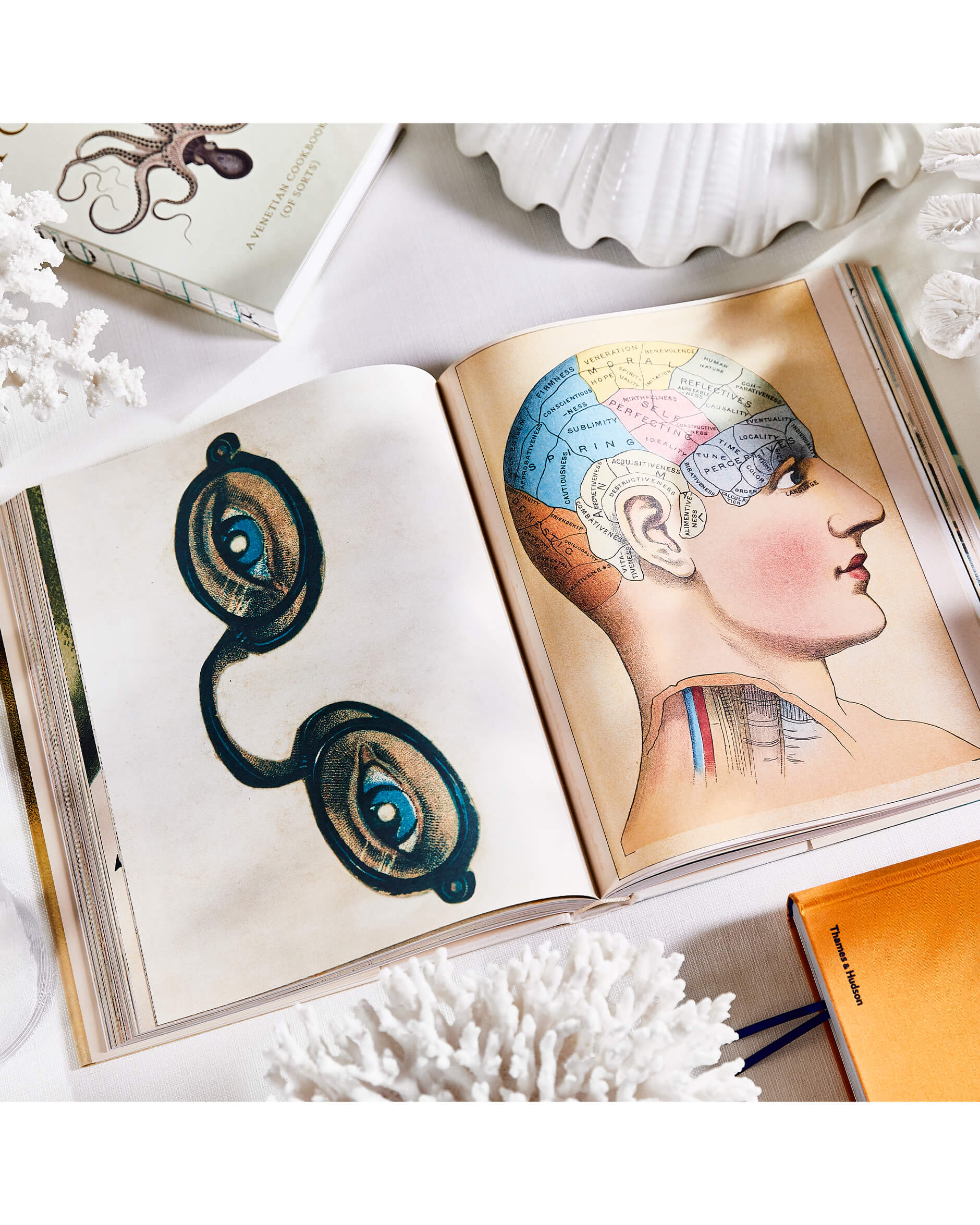 John Derian Picture Book