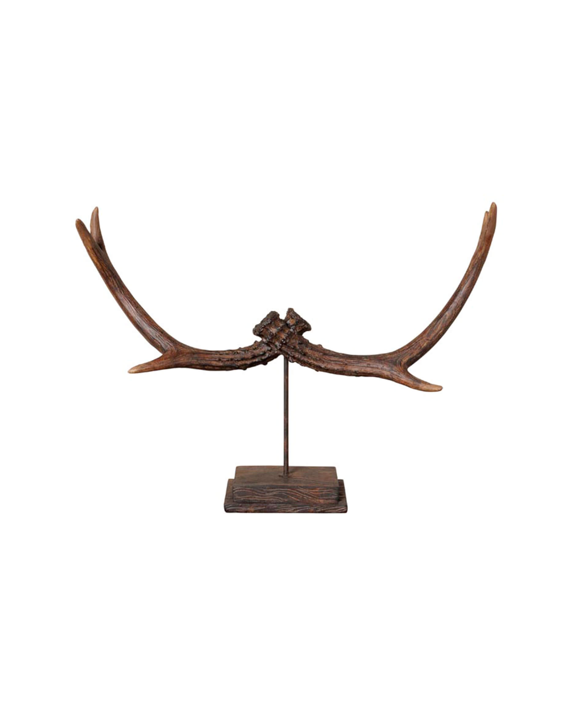 Renhorn dekoration brun