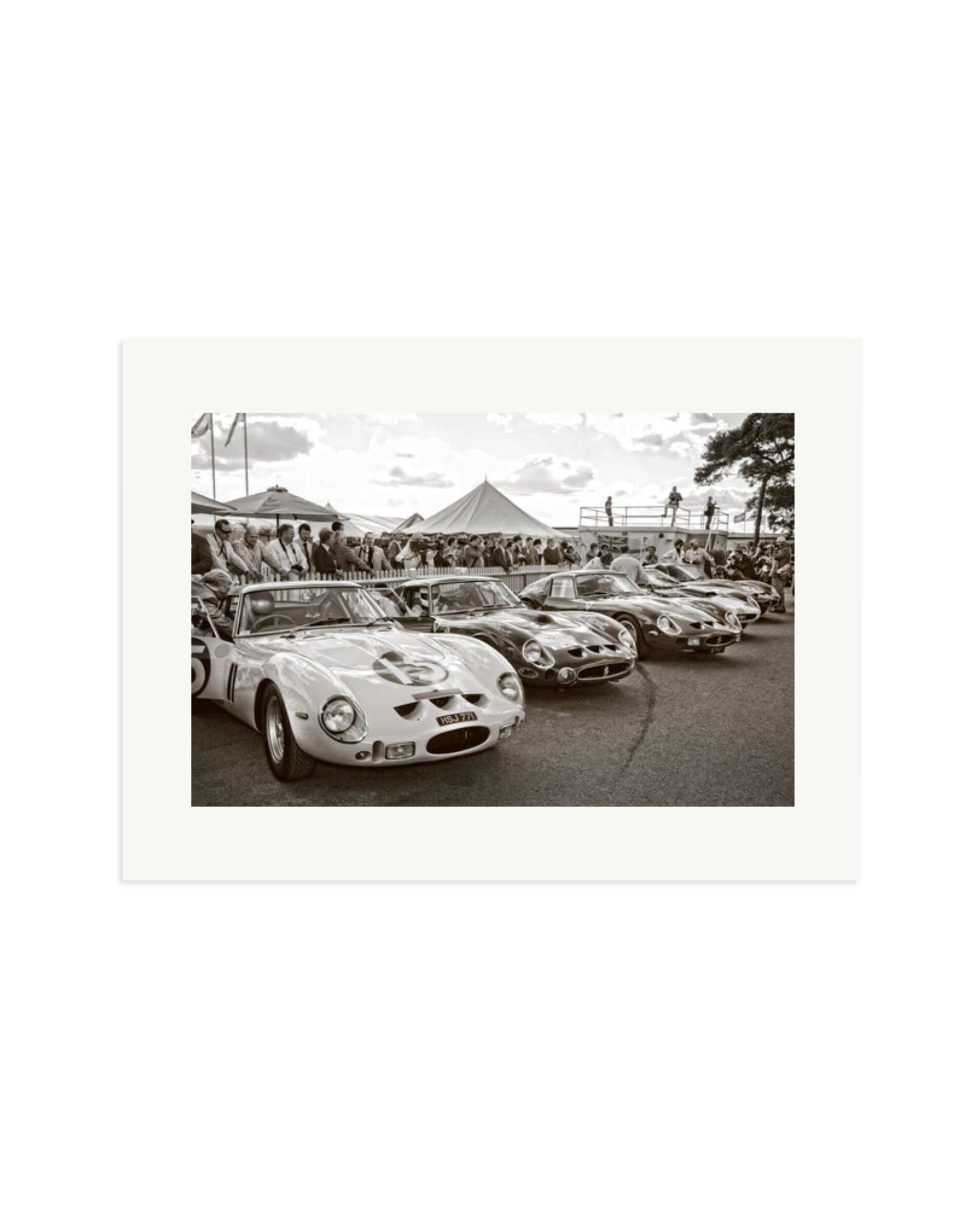Goodwood Revival Ferarri 250 GTO's Print Only / XL
